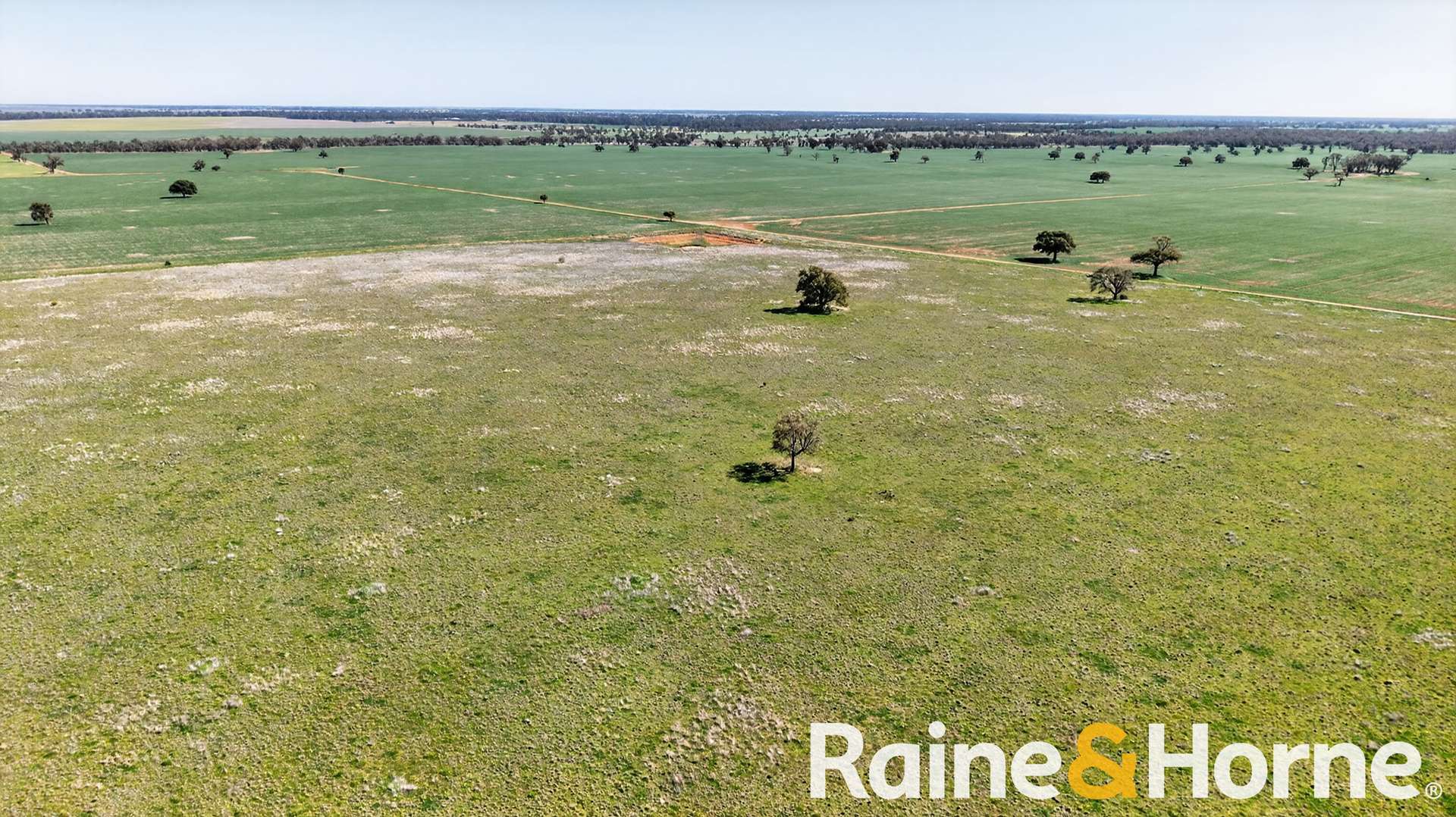 329 Lincoln Lane, Burroway Auction by Farmbuy.com - image 32