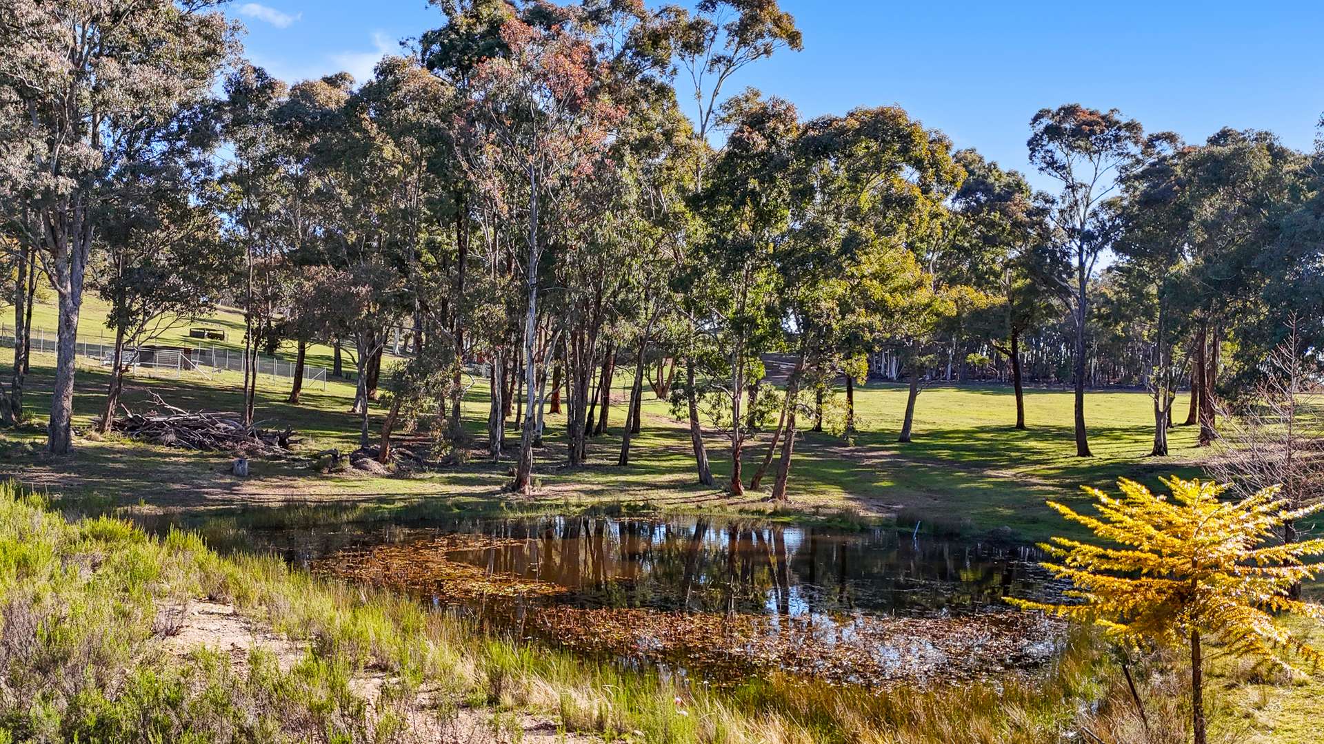 4055 Hill End Road, Mudgee For Sale by Farmbuy.com - image 15