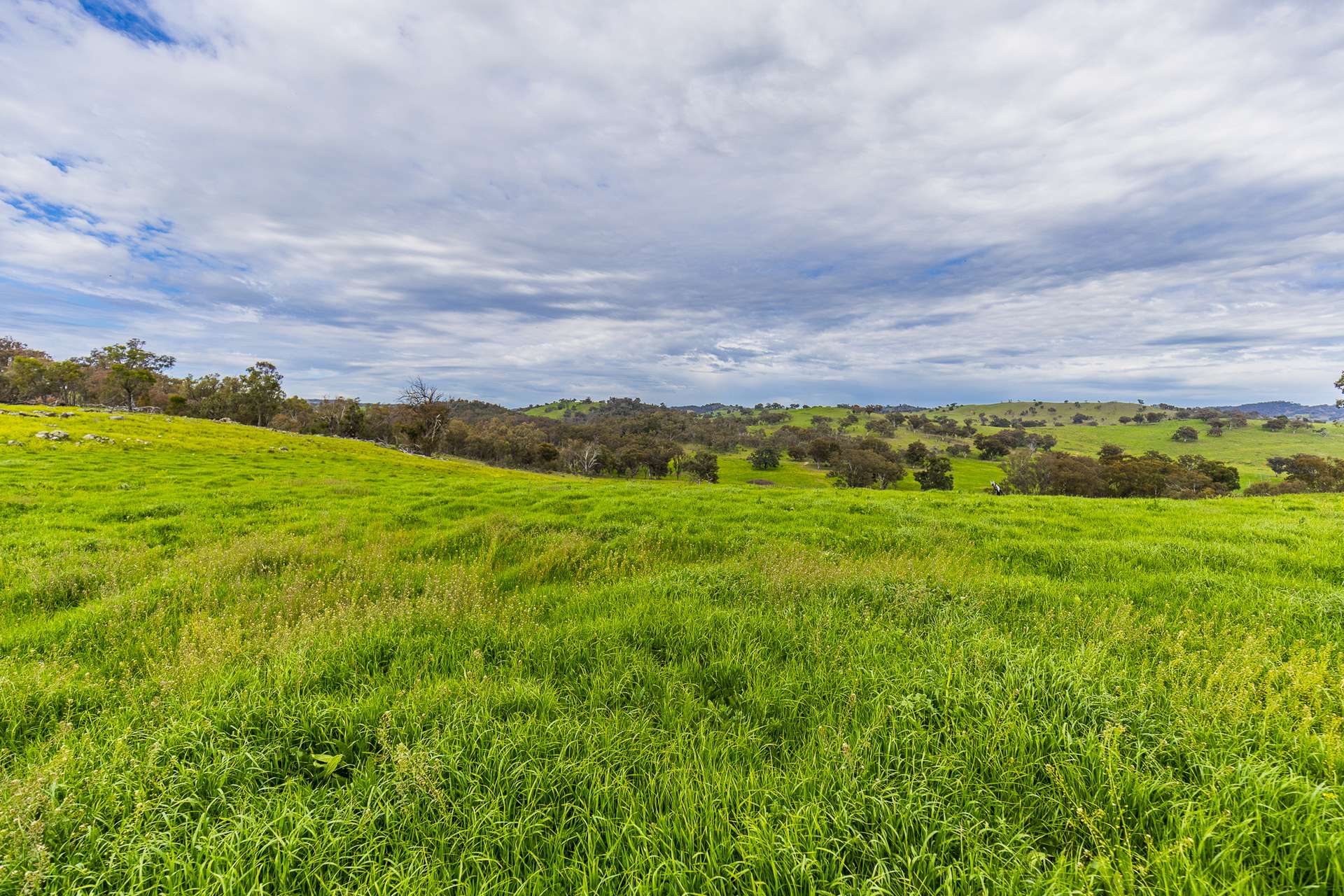 433 Kaludabah Road, Mudgee For Sale by Farmbuy.com - image 24