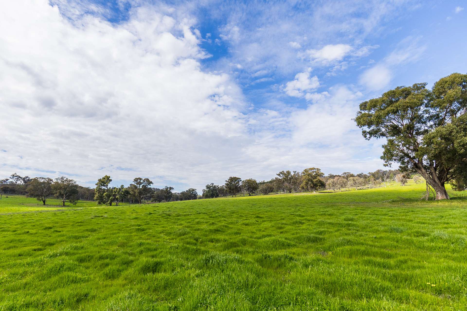 433 Kaludabah Road, Mudgee For Sale by Farmbuy.com - image 23