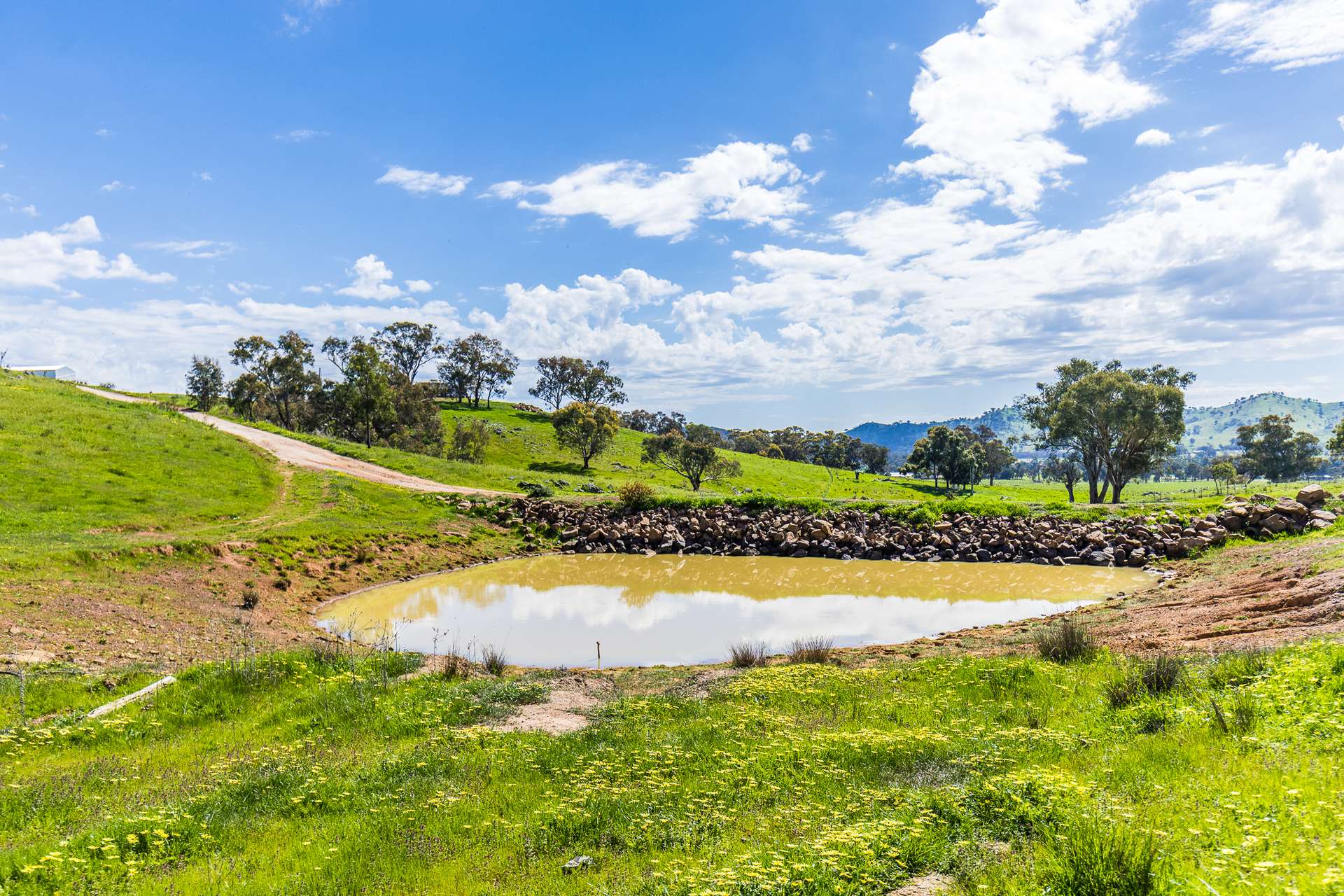 433 Kaludabah Road, Mudgee For Sale by Farmbuy.com - image 18