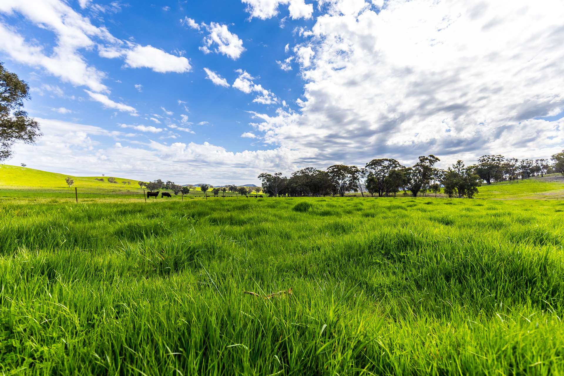433 Kaludabah Road, Mudgee For Sale by Farmbuy.com - image 22