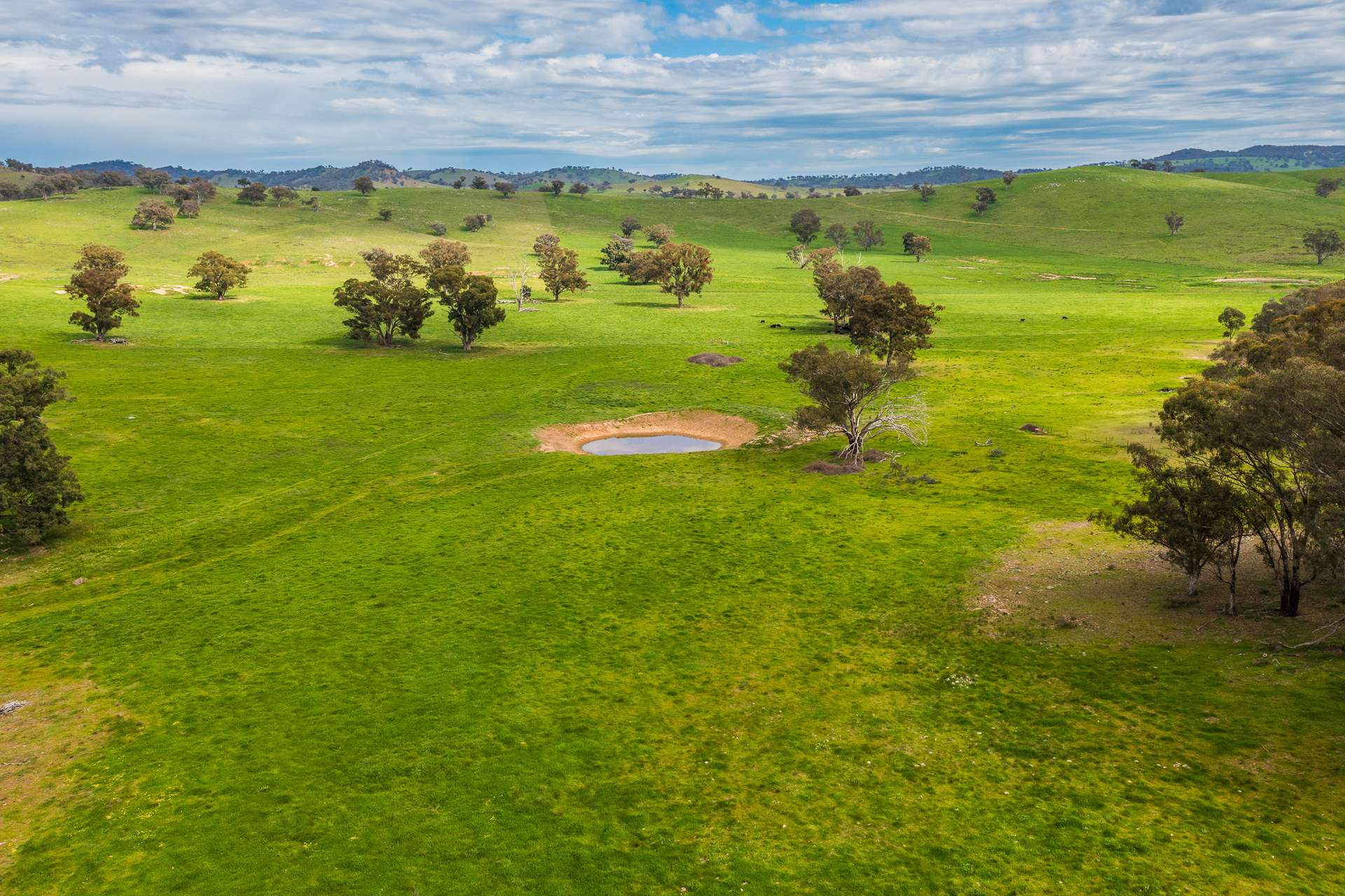 433 Kaludabah Road, Mudgee For Sale by Farmbuy.com - image 25