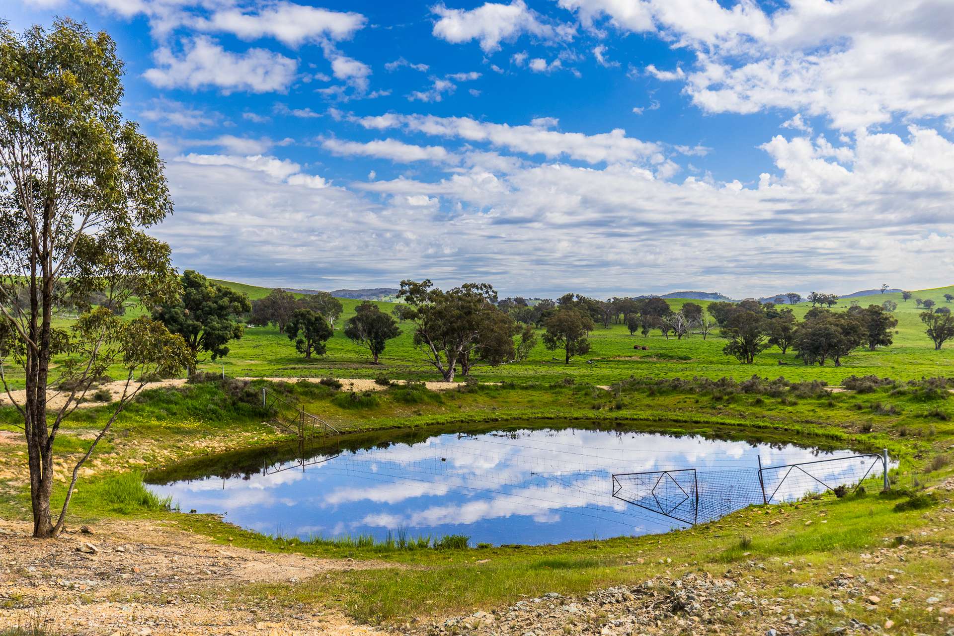 433 Kaludabah Road, Mudgee For Sale by Farmbuy.com - image 19