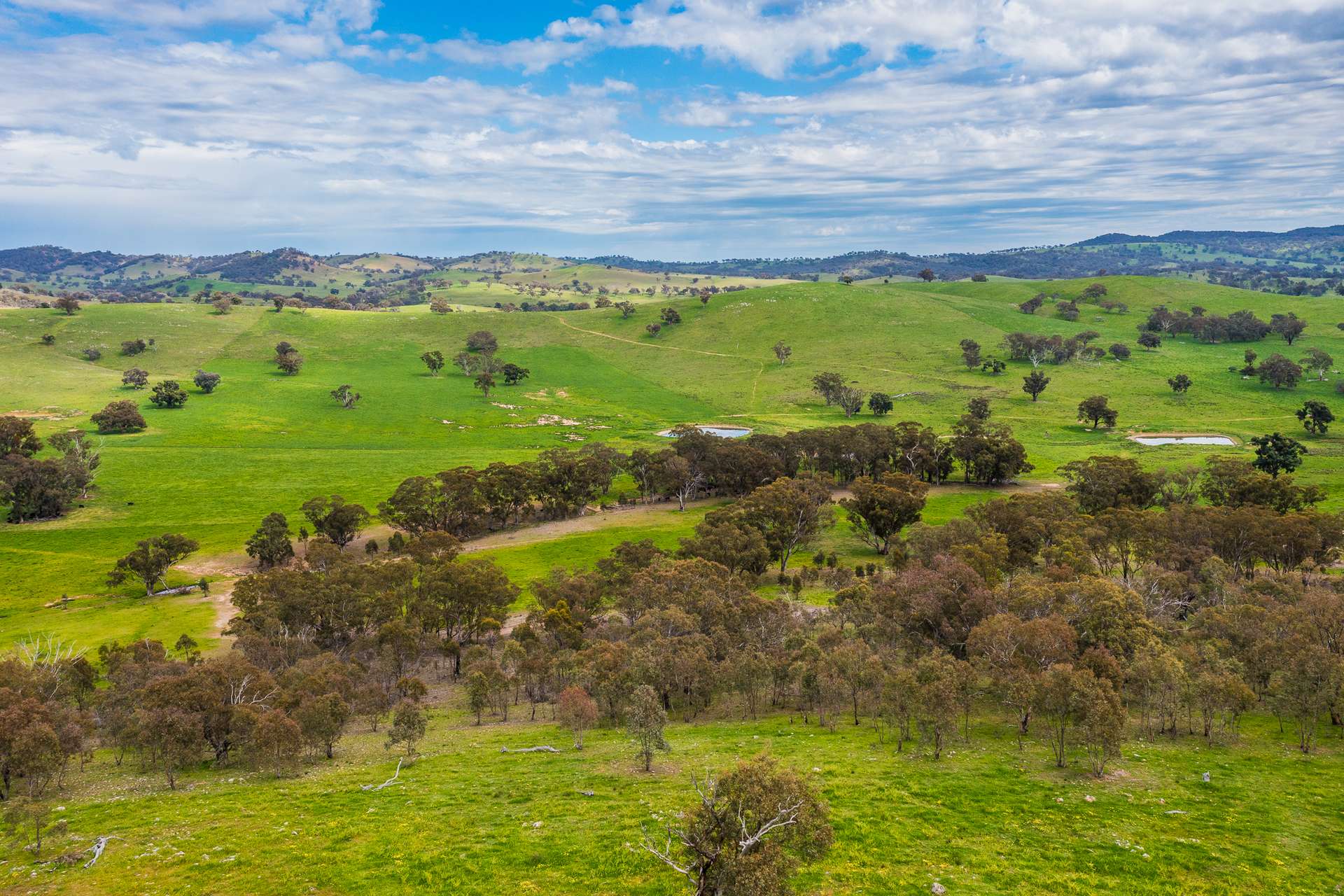 433 Kaludabah Road, Mudgee For Sale by Farmbuy.com - image 20