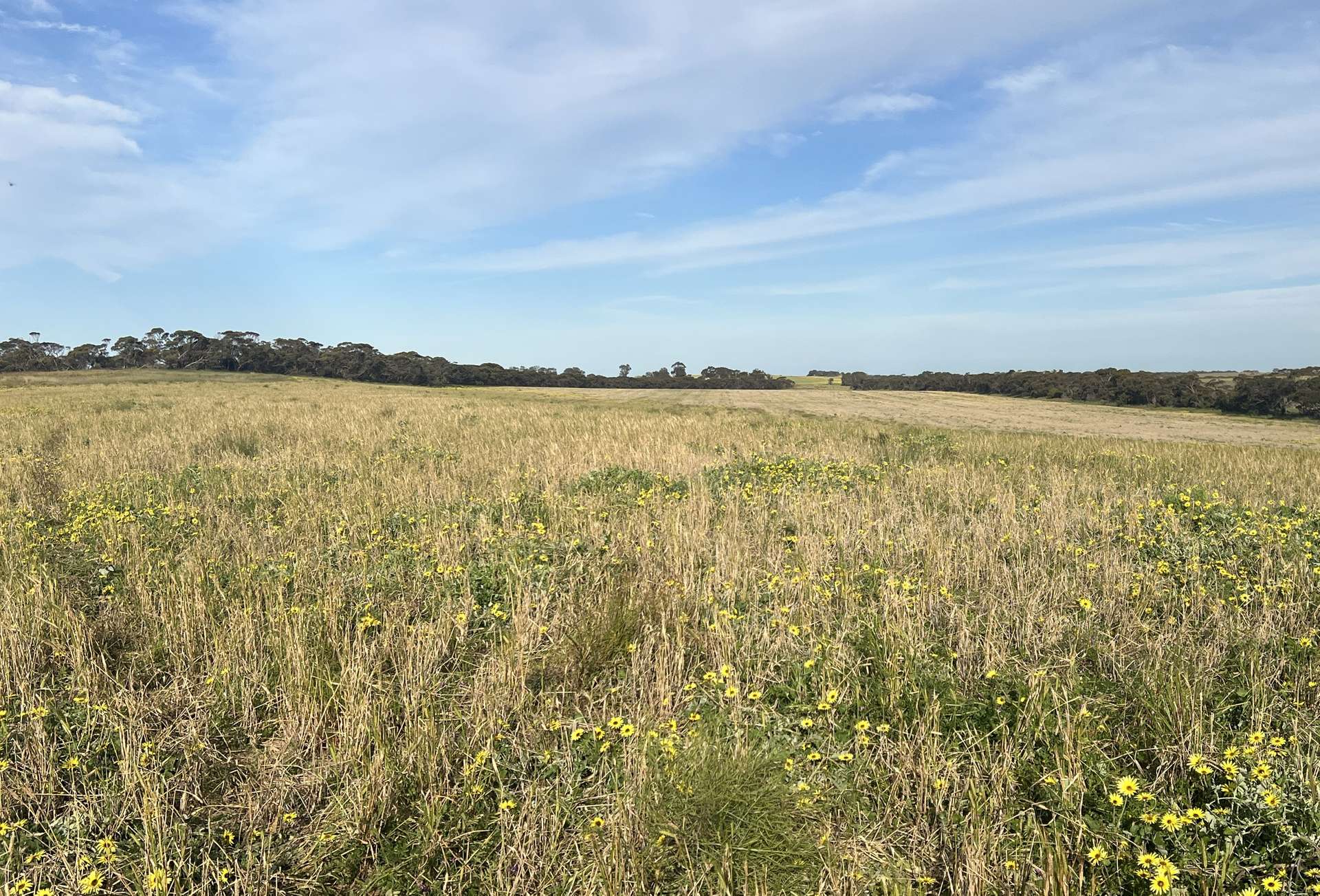 Lot 17 & 18 Kulkami Road, Karoonda For Sale by Farmbuy.com - image 4