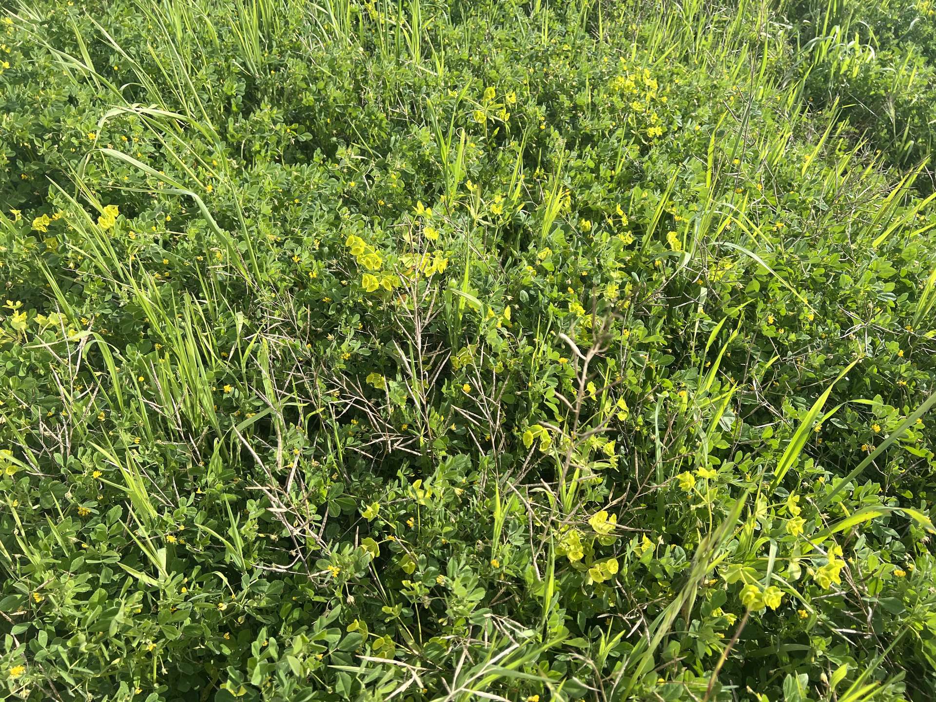 Lot 17 & 18 Kulkami Road, Karoonda For Sale by Farmbuy.com - image 2