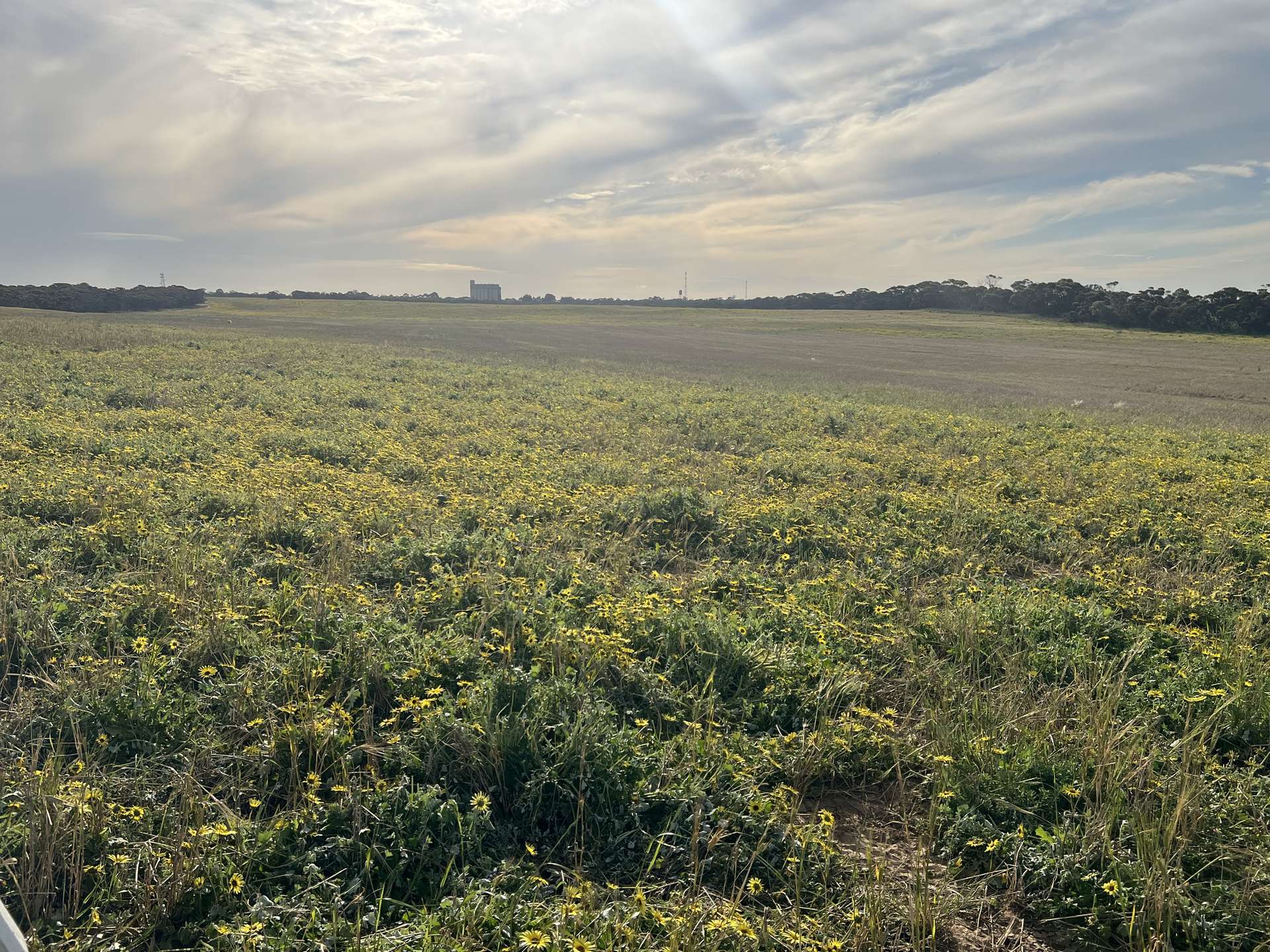 Lot 17 & 18 Kulkami Road, Karoonda For Sale by Farmbuy.com - image 5