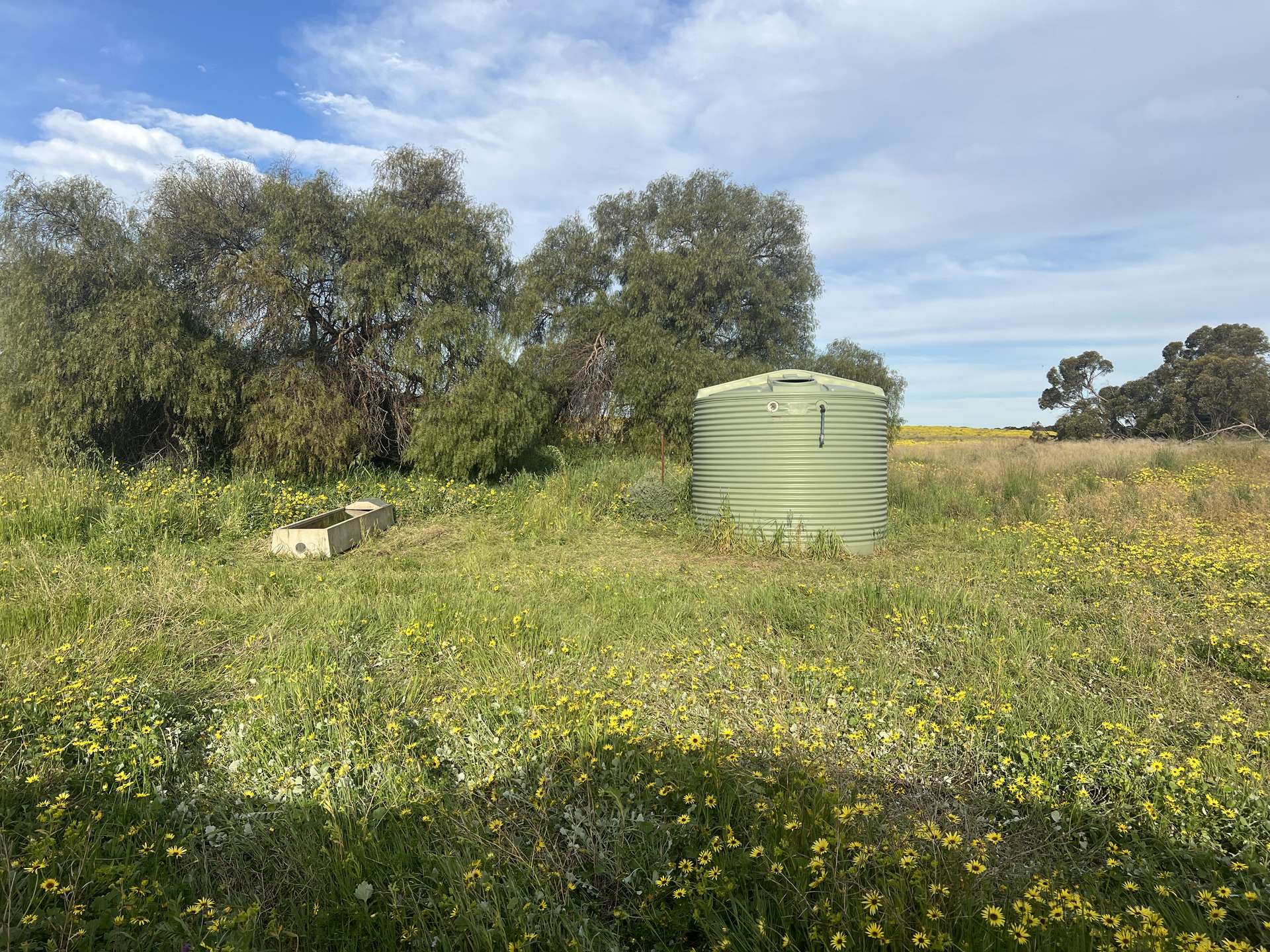 Lot 17 & 18 Kulkami Road, Karoonda For Sale by Farmbuy.com - image 8