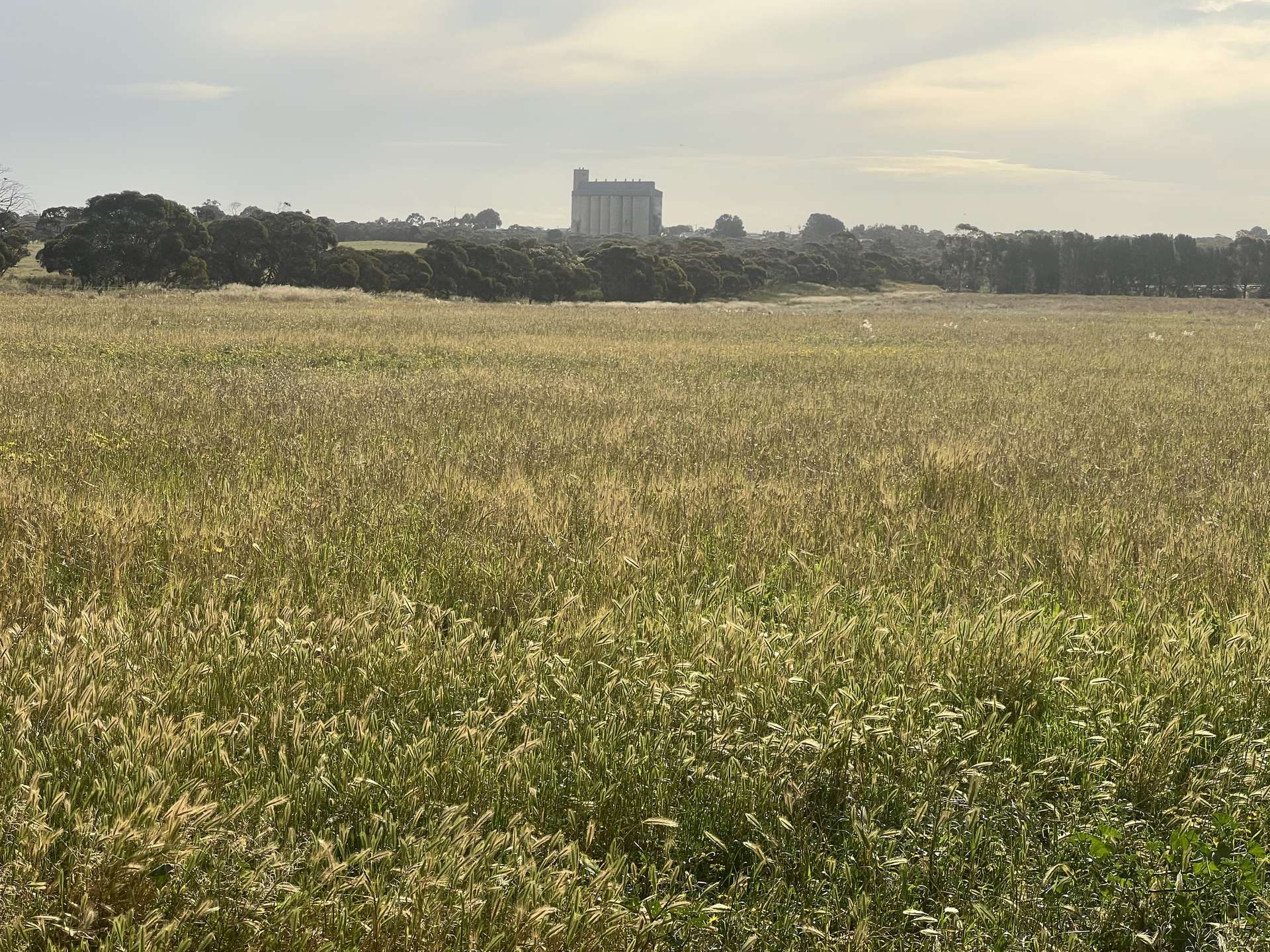 Lot 17 & 18 Kulkami Road, Karoonda For Sale by Farmbuy.com - image 3