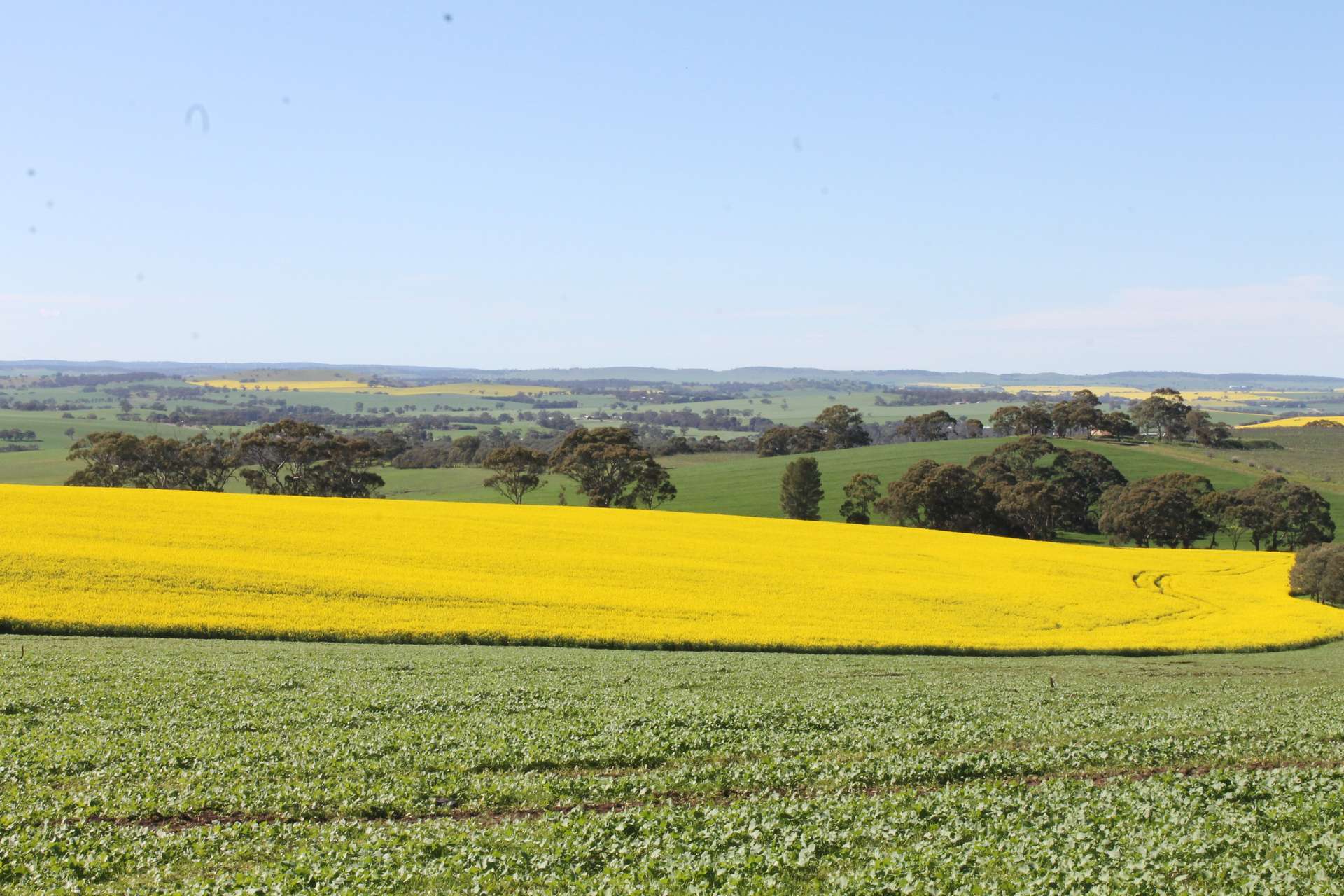 220 Schobers Road, Auburn Auction by Farmbuy.com - image 6