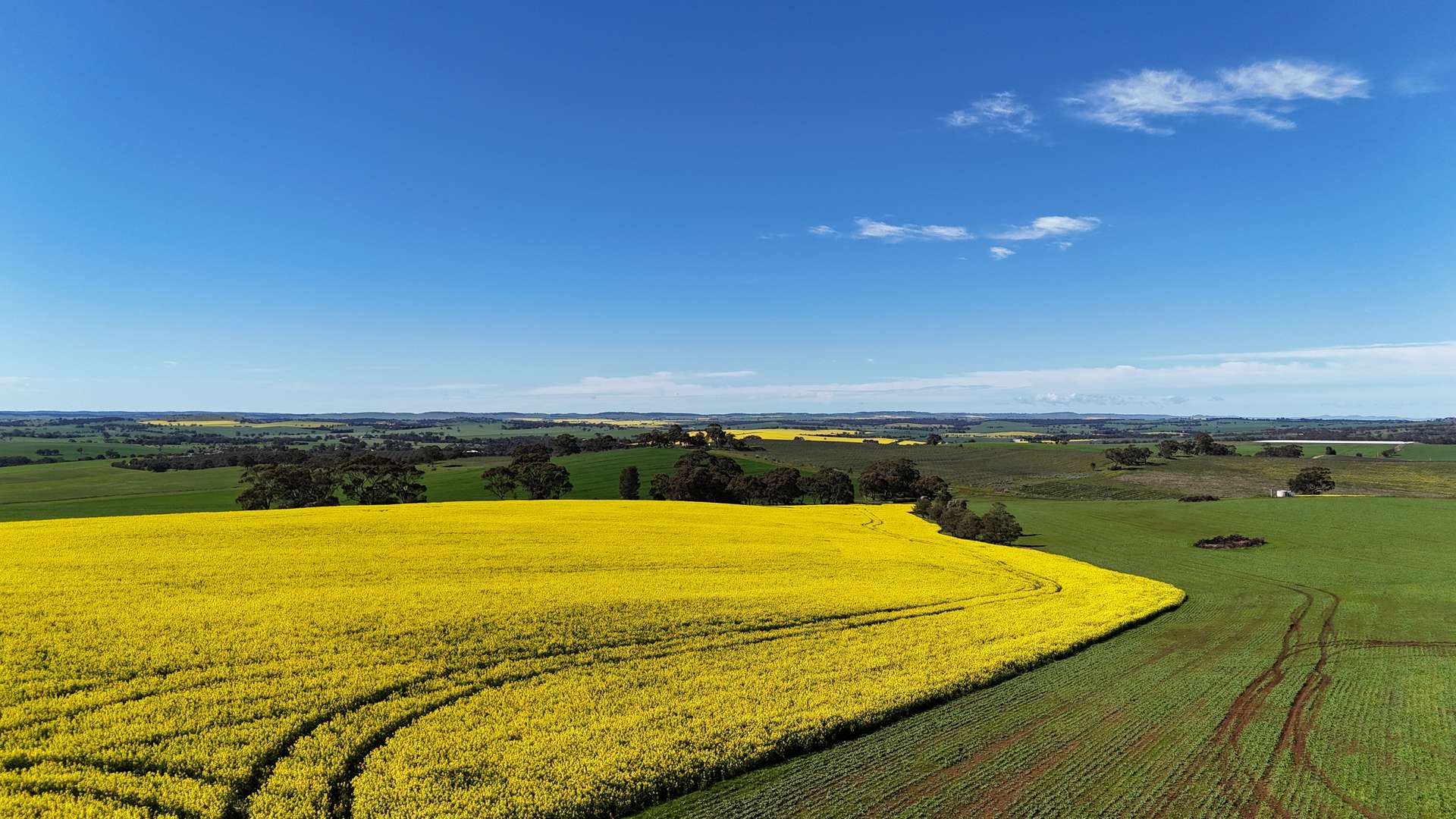 220 Schobers Road, Auburn Auction by Farmbuy.com - image 15