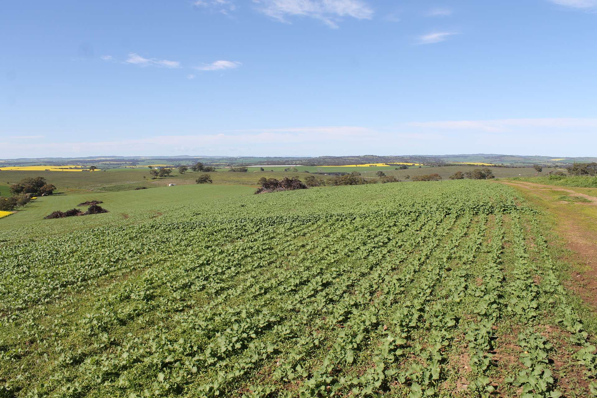 220 Schobers Road, Auburn Auction by Farmbuy.com - image 7