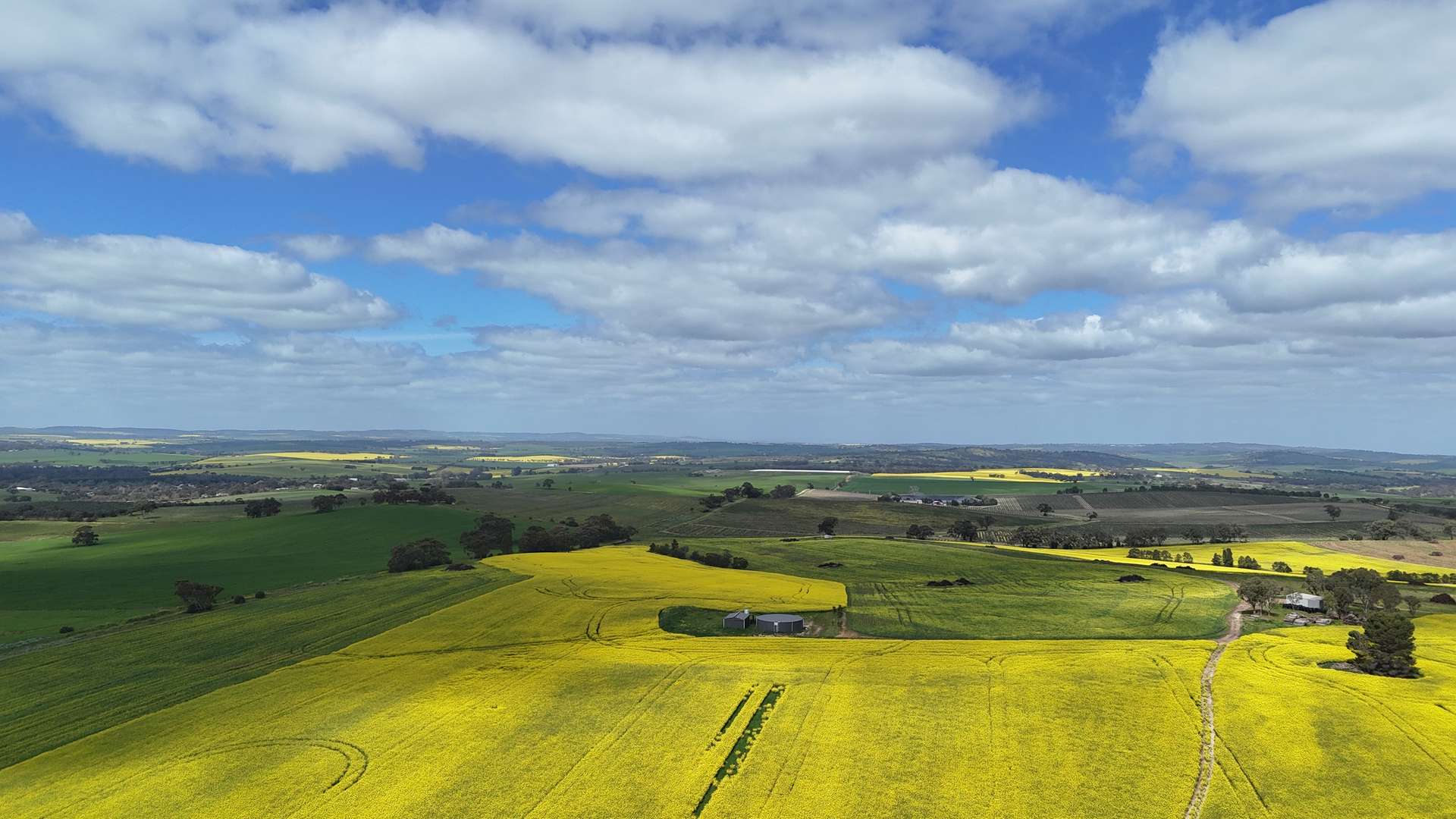 220 Schobers Road, Auburn Auction by Farmbuy.com - image 16