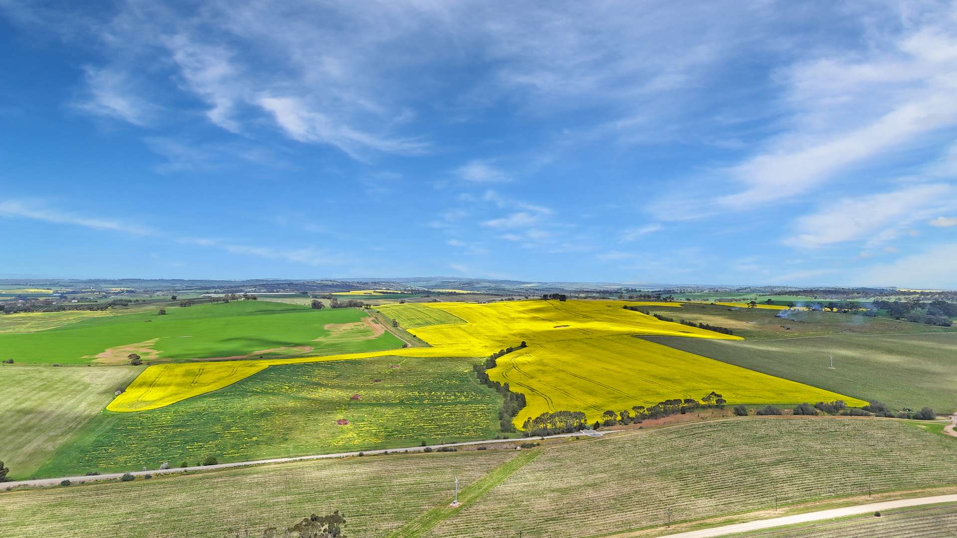 220 Schobers Road, Auburn Auction by Farmbuy.com - image 3
