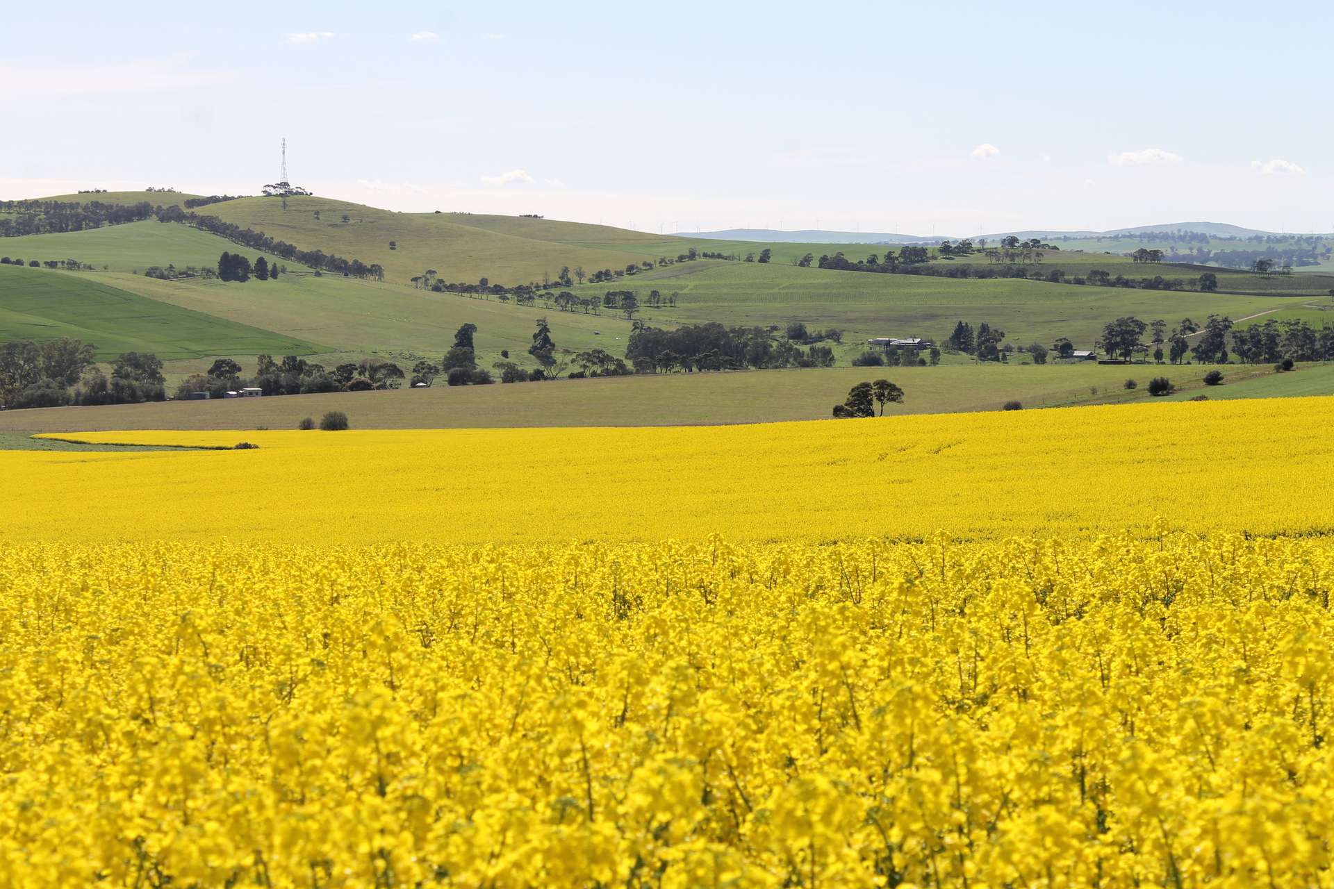 220 Schobers Road, Auburn Auction by Farmbuy.com - image 8