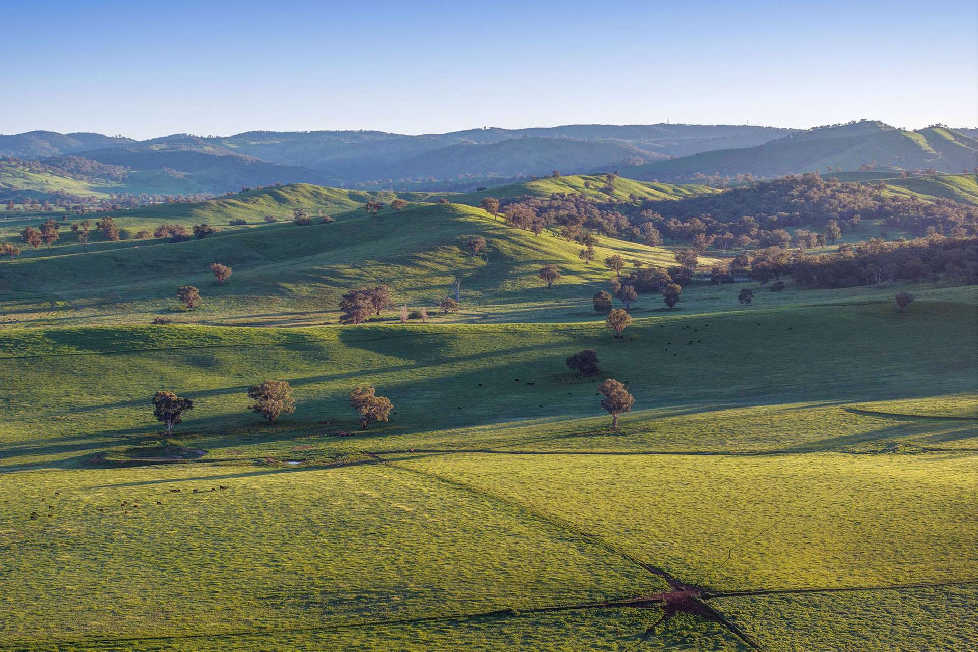 1900 Nangus Road, Nangus For Sale by Farmbuy.com - image 10