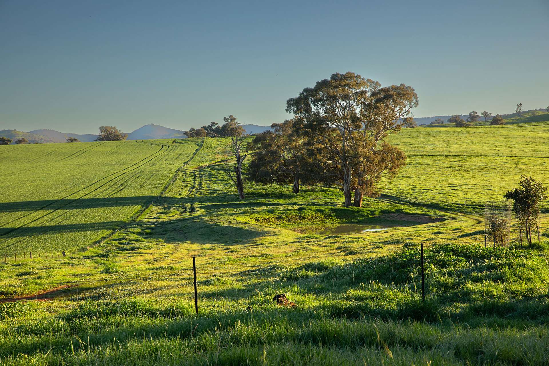 1900 Nangus Road, Nangus For Sale by Farmbuy.com - image 5
