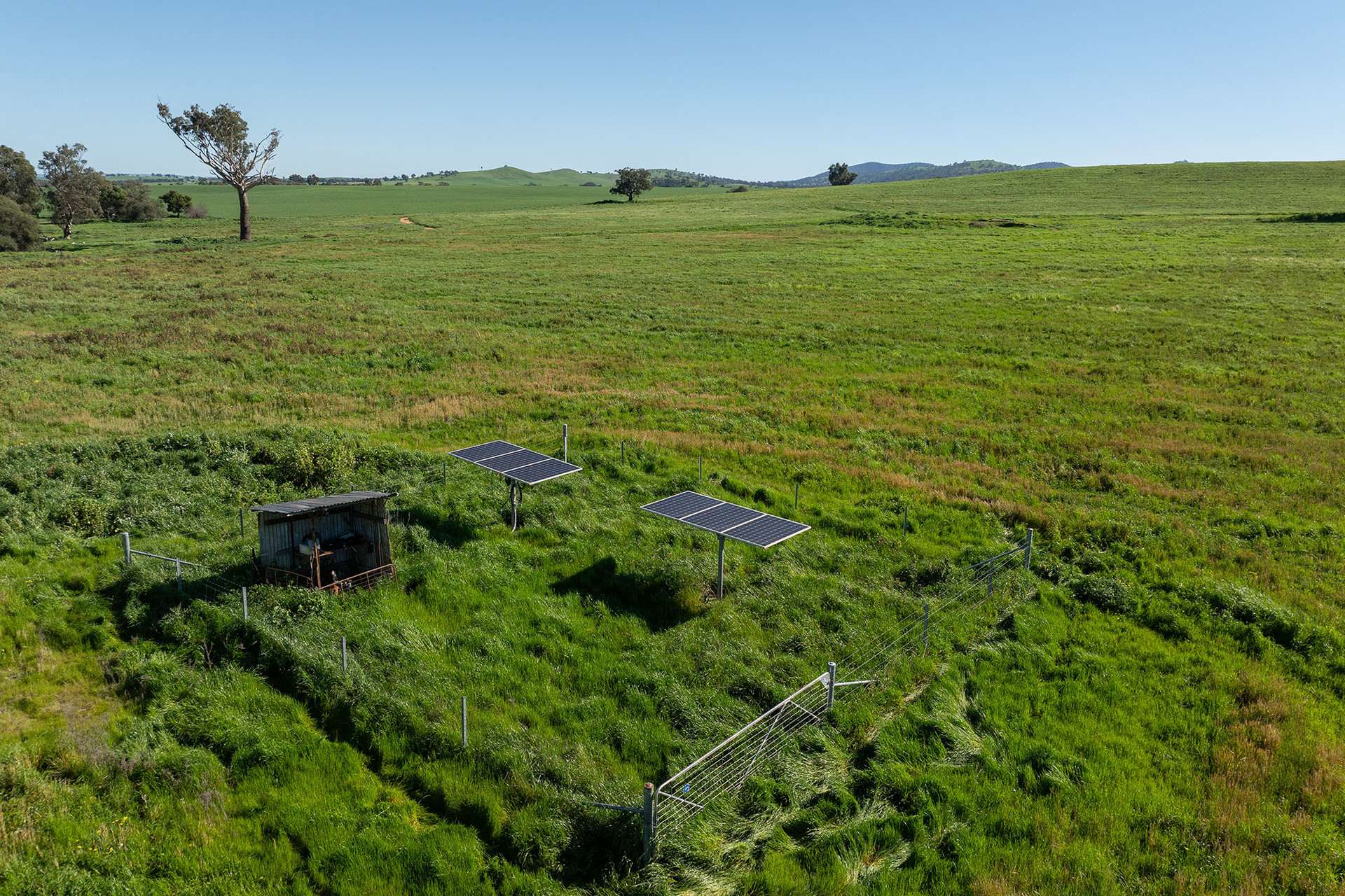 1900 Nangus Road, Nangus For Sale by Farmbuy.com - image 19
