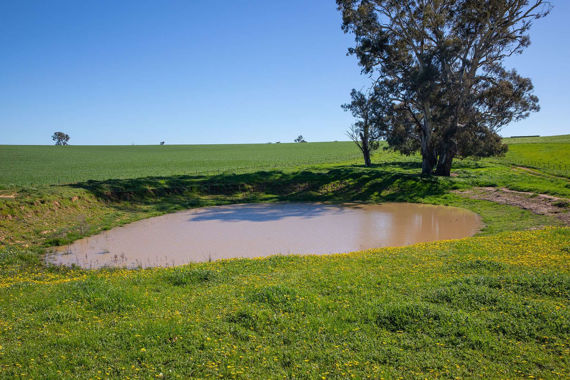 1900 Nangus Road, Nangus For Sale by Farmbuy.com - image 9