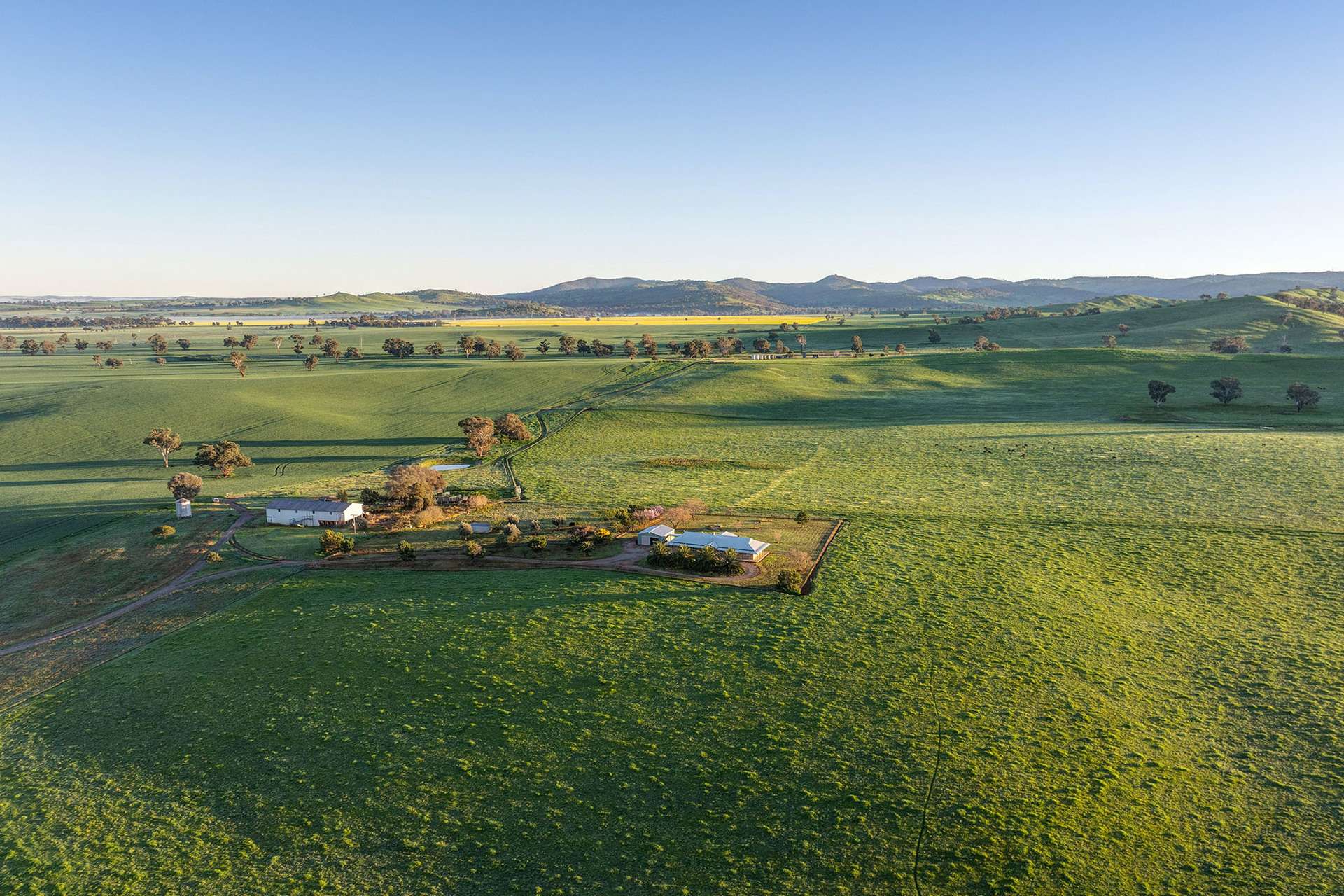 1900 Nangus Road, Nangus For Sale by Farmbuy.com - image 1