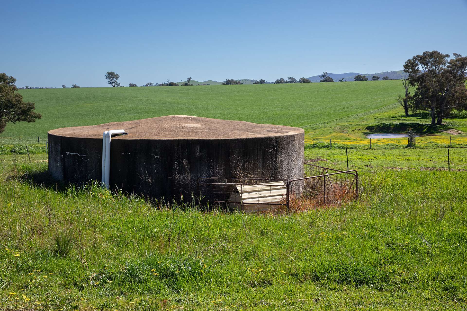 1900 Nangus Road, Nangus For Sale by Farmbuy.com - image 20