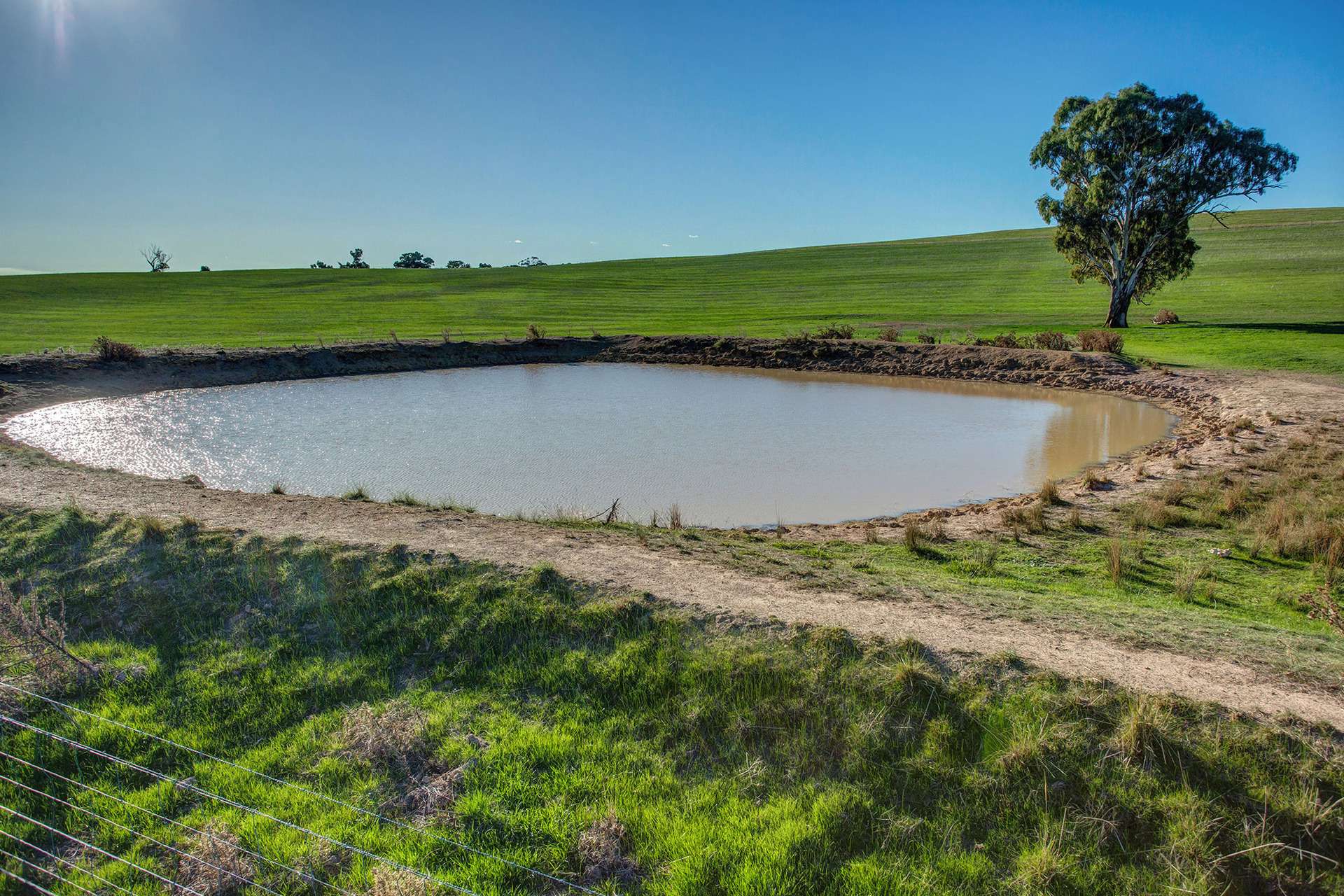 1900 Nangus Road, Nangus For Sale by Farmbuy.com - image 21