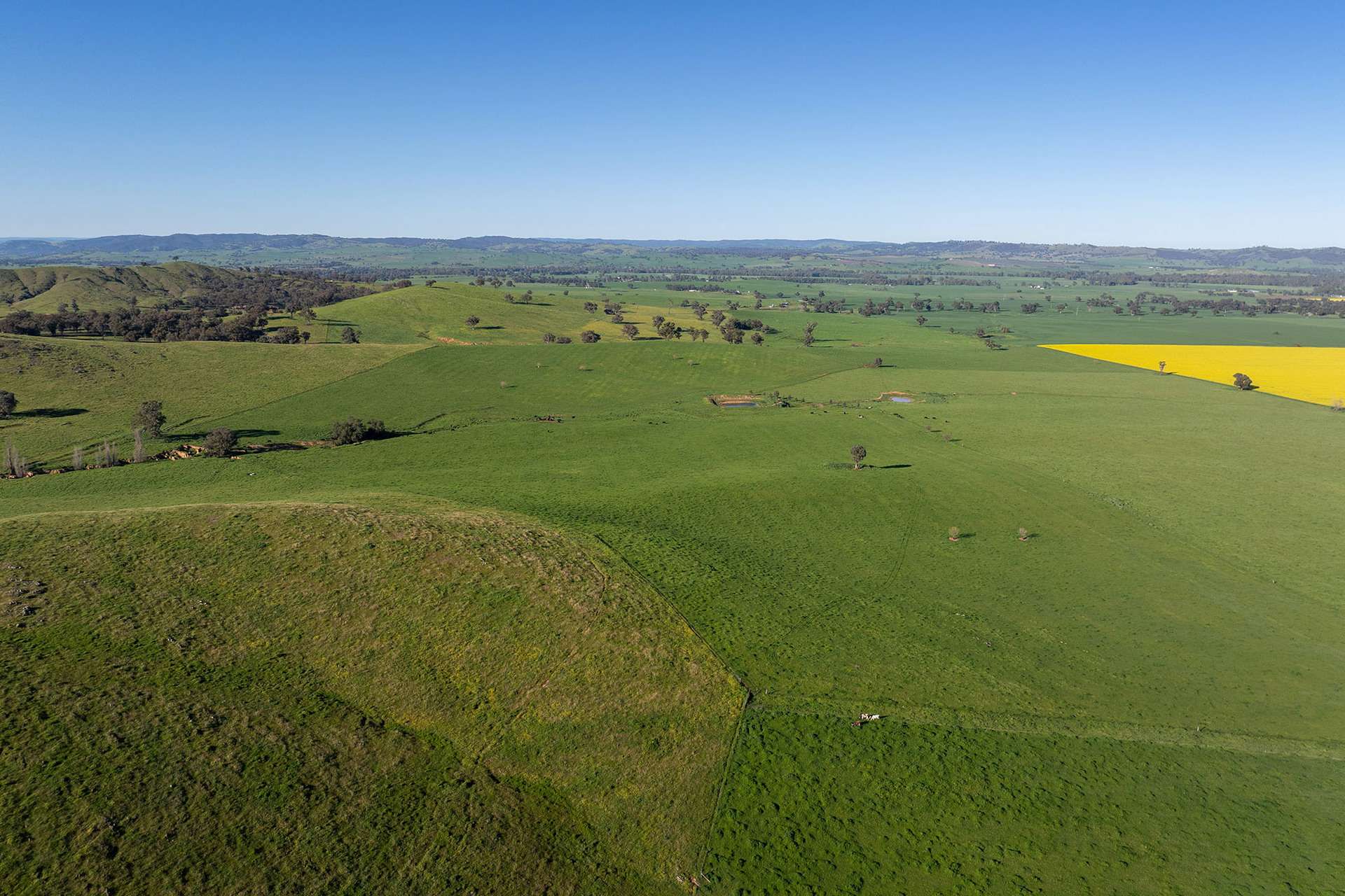 1900 Nangus Road, Nangus For Sale by Farmbuy.com - image 7