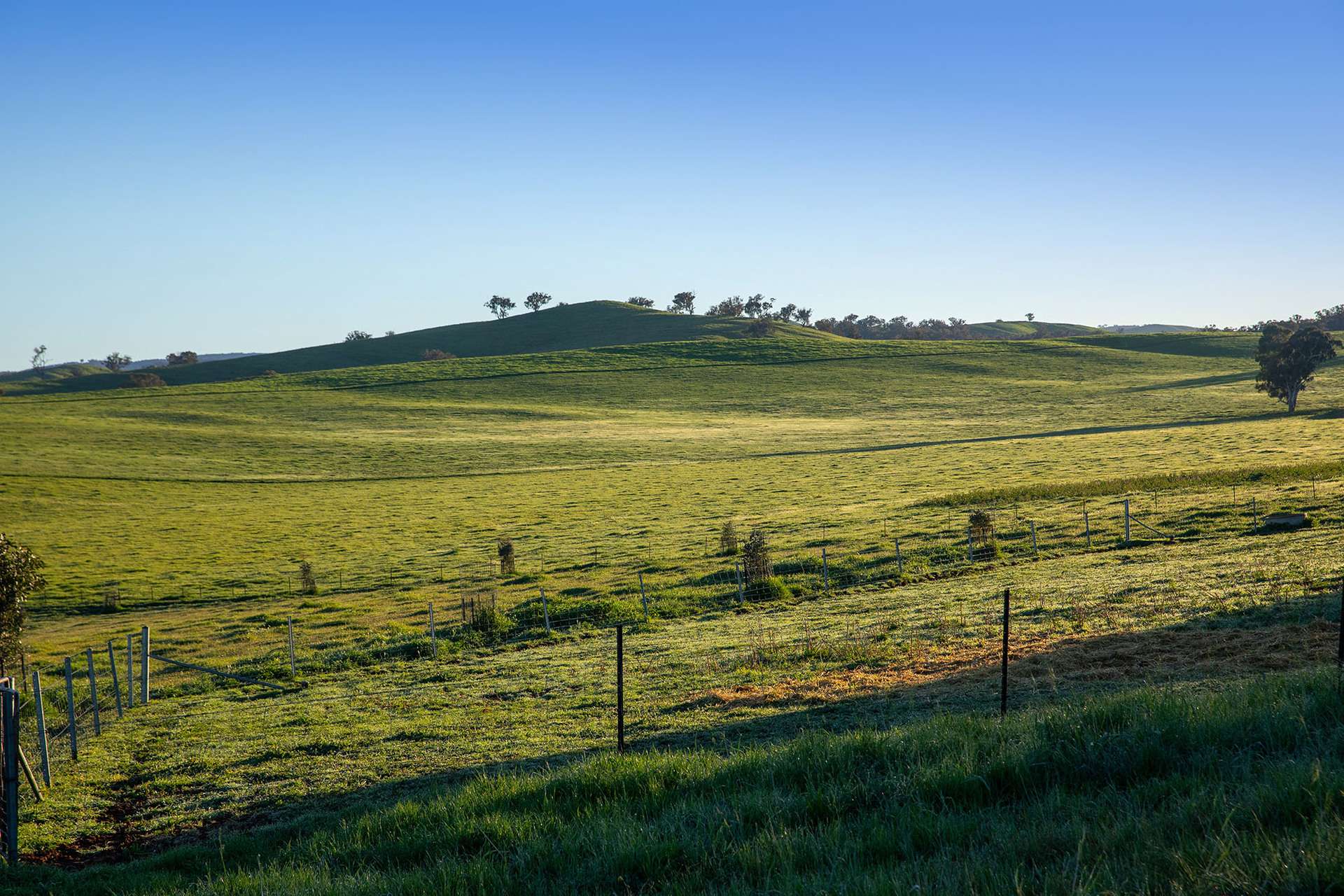 1900 Nangus Road, Nangus For Sale by Farmbuy.com - image 11