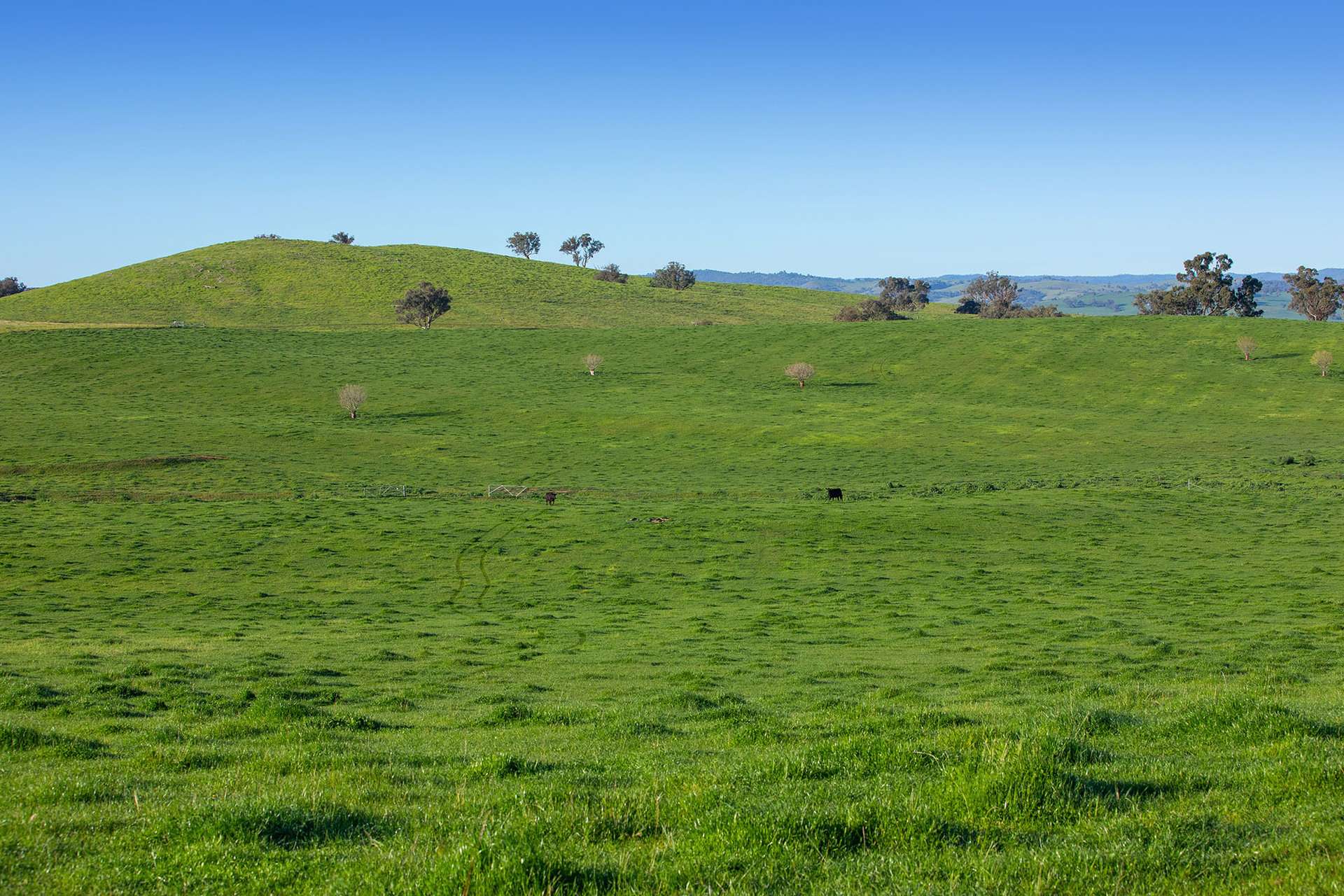 1900 Nangus Road, Nangus For Sale by Farmbuy.com - image 13