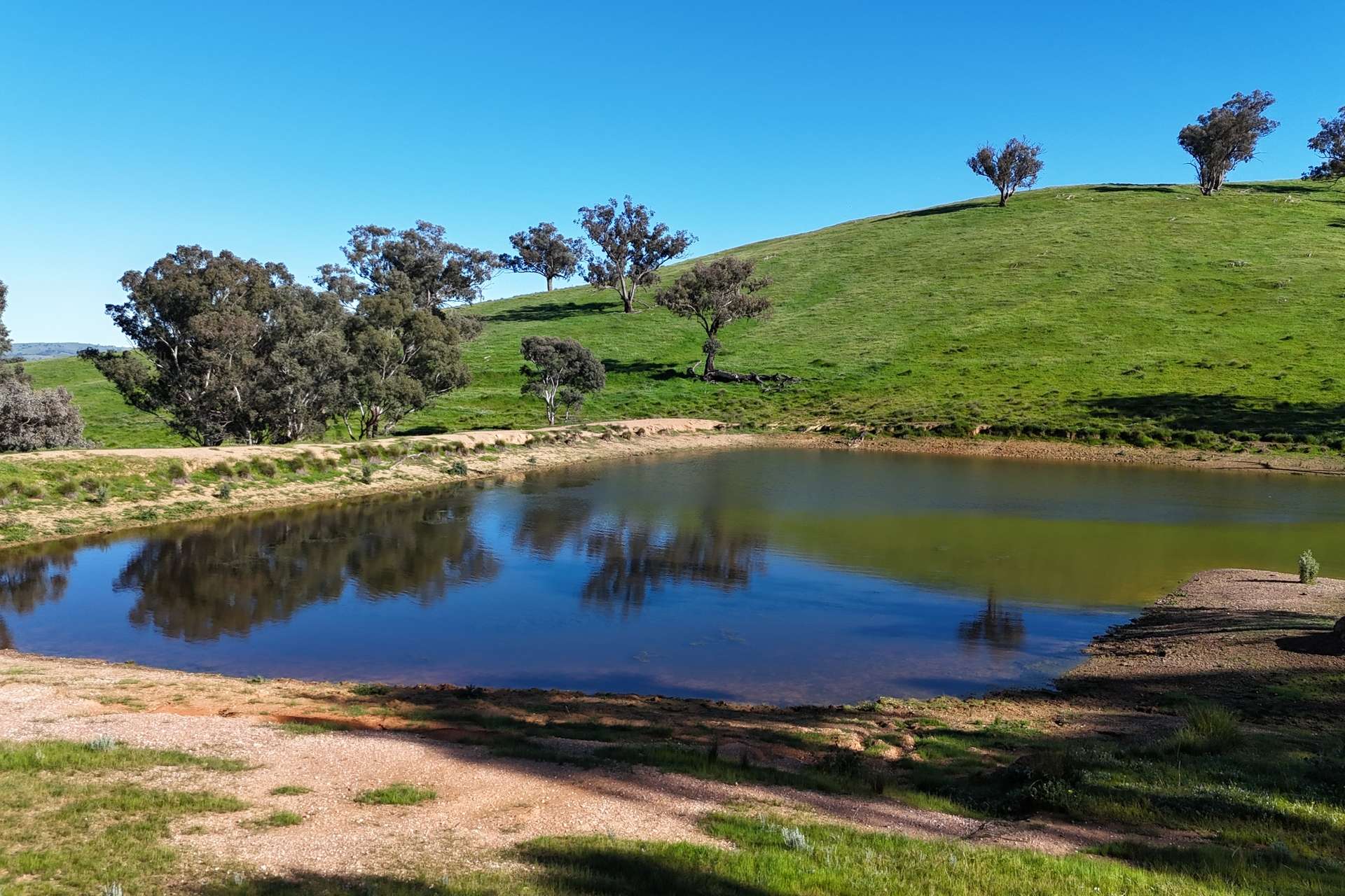 1900 Nangus Road, Nangus For Sale by Farmbuy.com - image 12