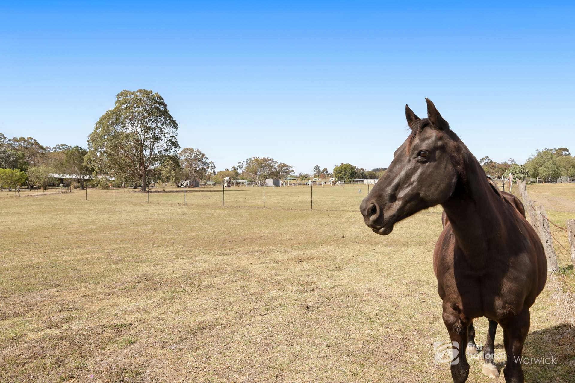 37 Kurrajong Road, Rosenthal Heights For Sale by Farmbuy.com - image 33