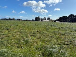 Lot 1 Upper Natone Road, Natone For Sale by Farmbuy.com - image 5