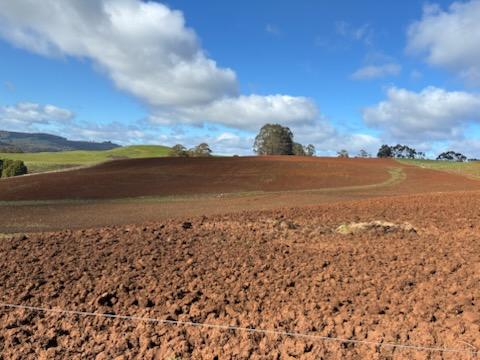 Lot 1 Upper Natone Road, Natone For Sale by Farmbuy.com - image 11