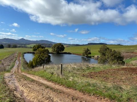 Lot 1 Upper Natone Road, Natone For Sale by Farmbuy.com - image 4