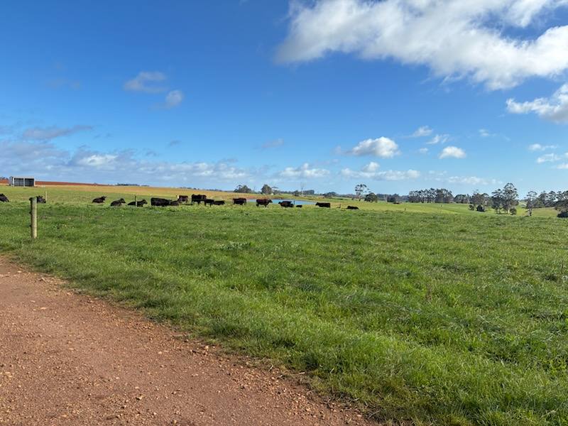 Lot 1 Upper Natone Road, Natone For Sale by Farmbuy.com - image 3