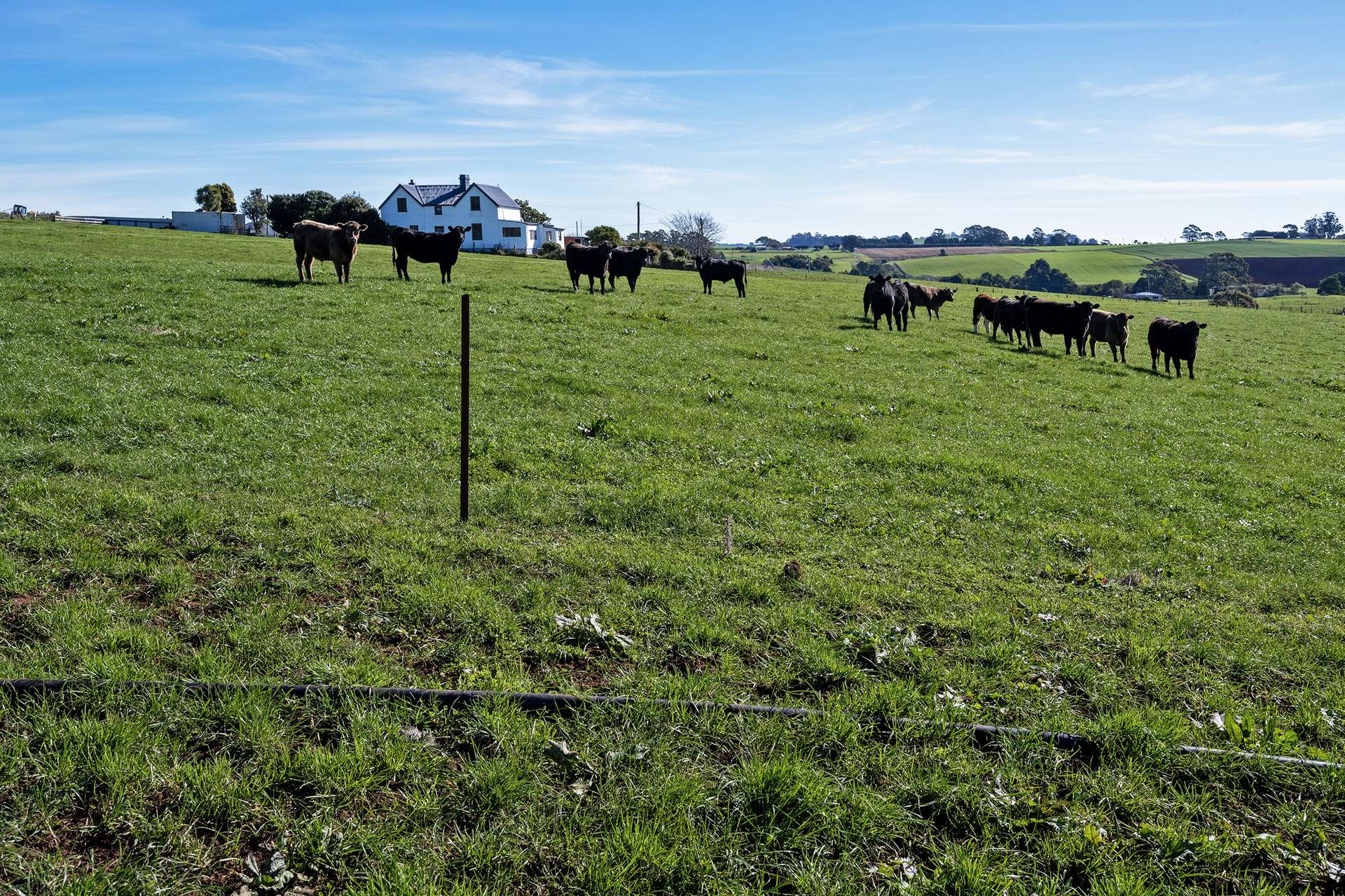 649 Pine Road, West Pine For Sale by Farmbuy.com - image 11