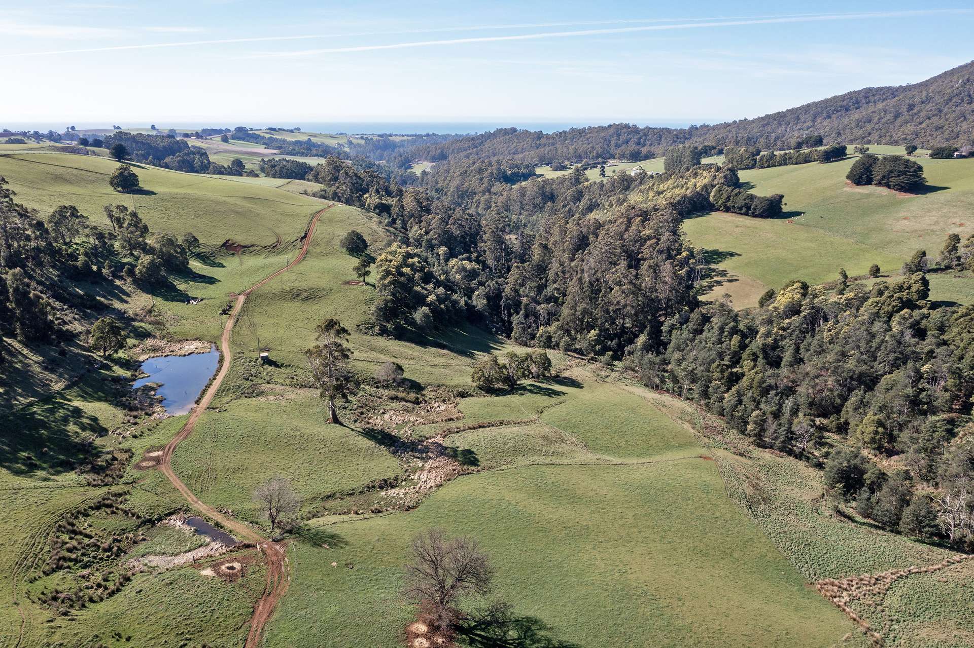 649 Pine Road, West Pine For Sale by Farmbuy.com - image 6