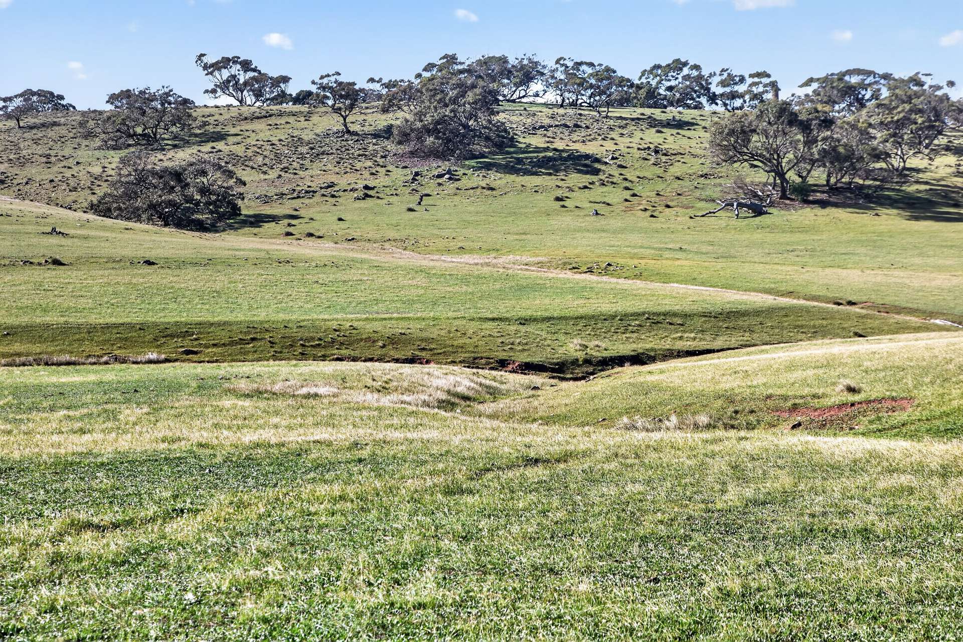 'Preamimma' Preamimma Road, Rockleigh For Sale by Farmbuy.com - image 6