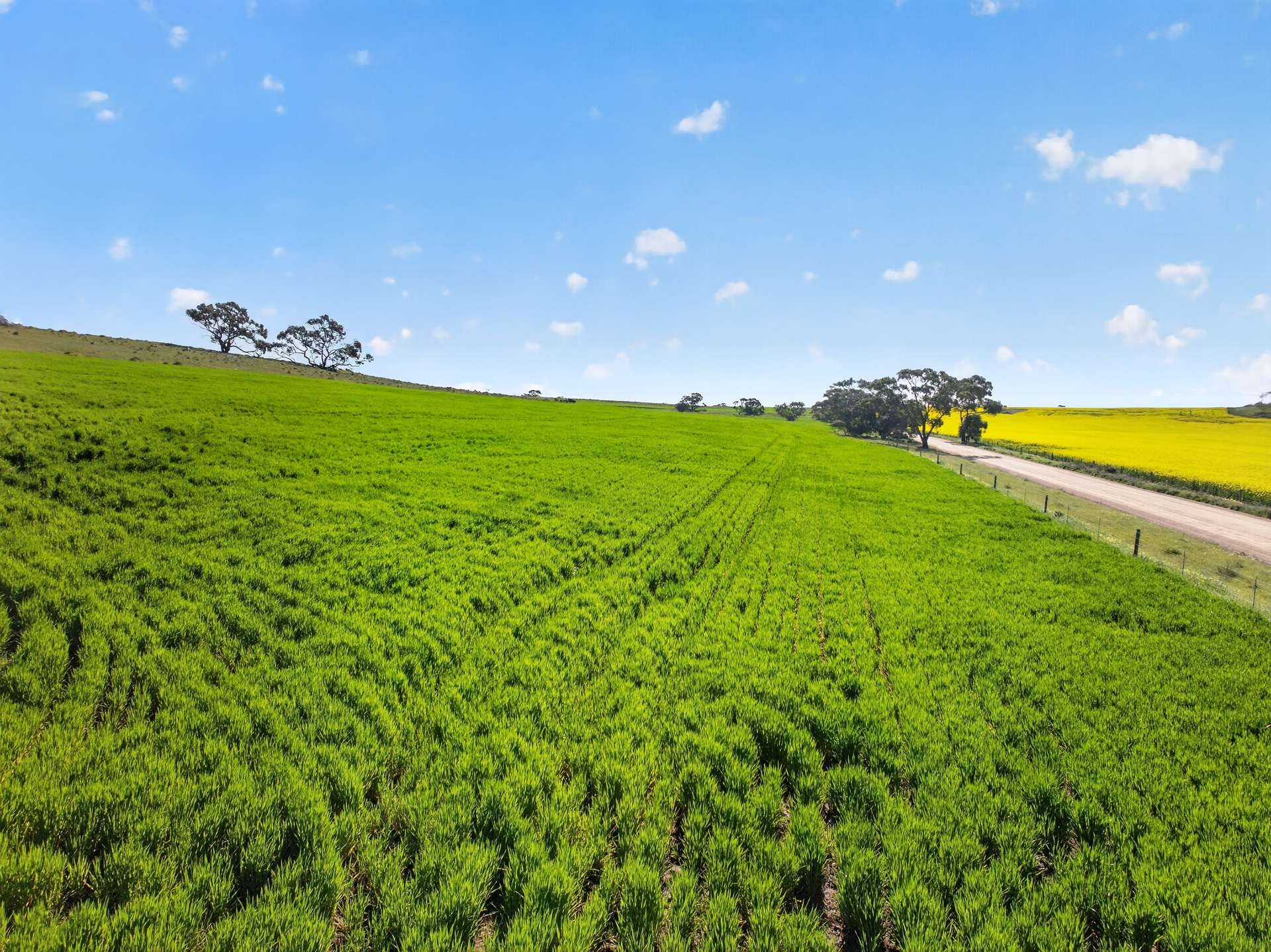 'Preamimma' Preamimma Road, Rockleigh For Sale by Farmbuy.com - image 4