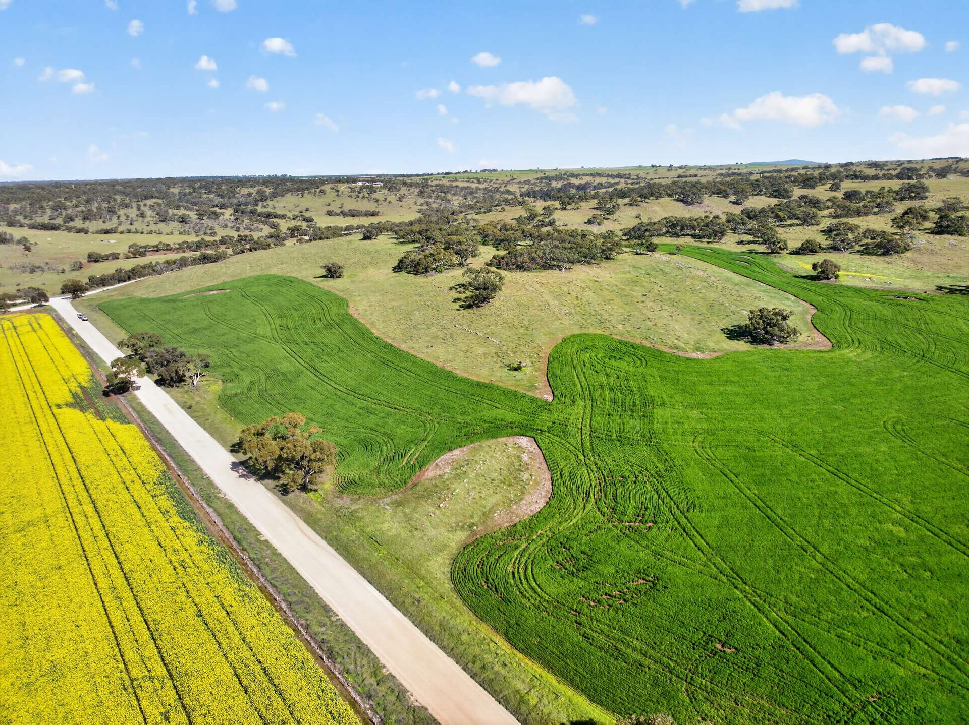 'Preamimma' Preamimma Road, Rockleigh For Sale by Farmbuy.com - image 5