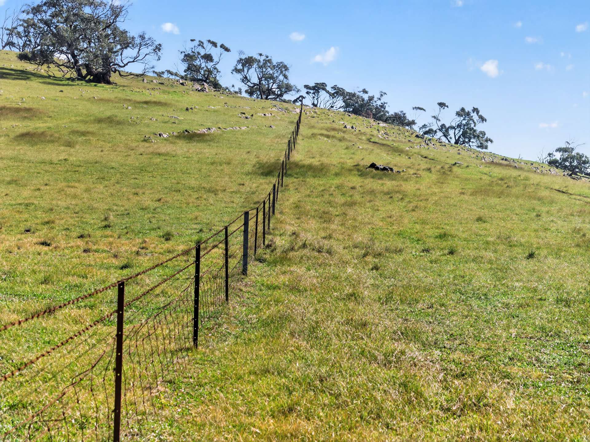 'Preamimma' Preamimma Road, Rockleigh For Sale by Farmbuy.com - image 10