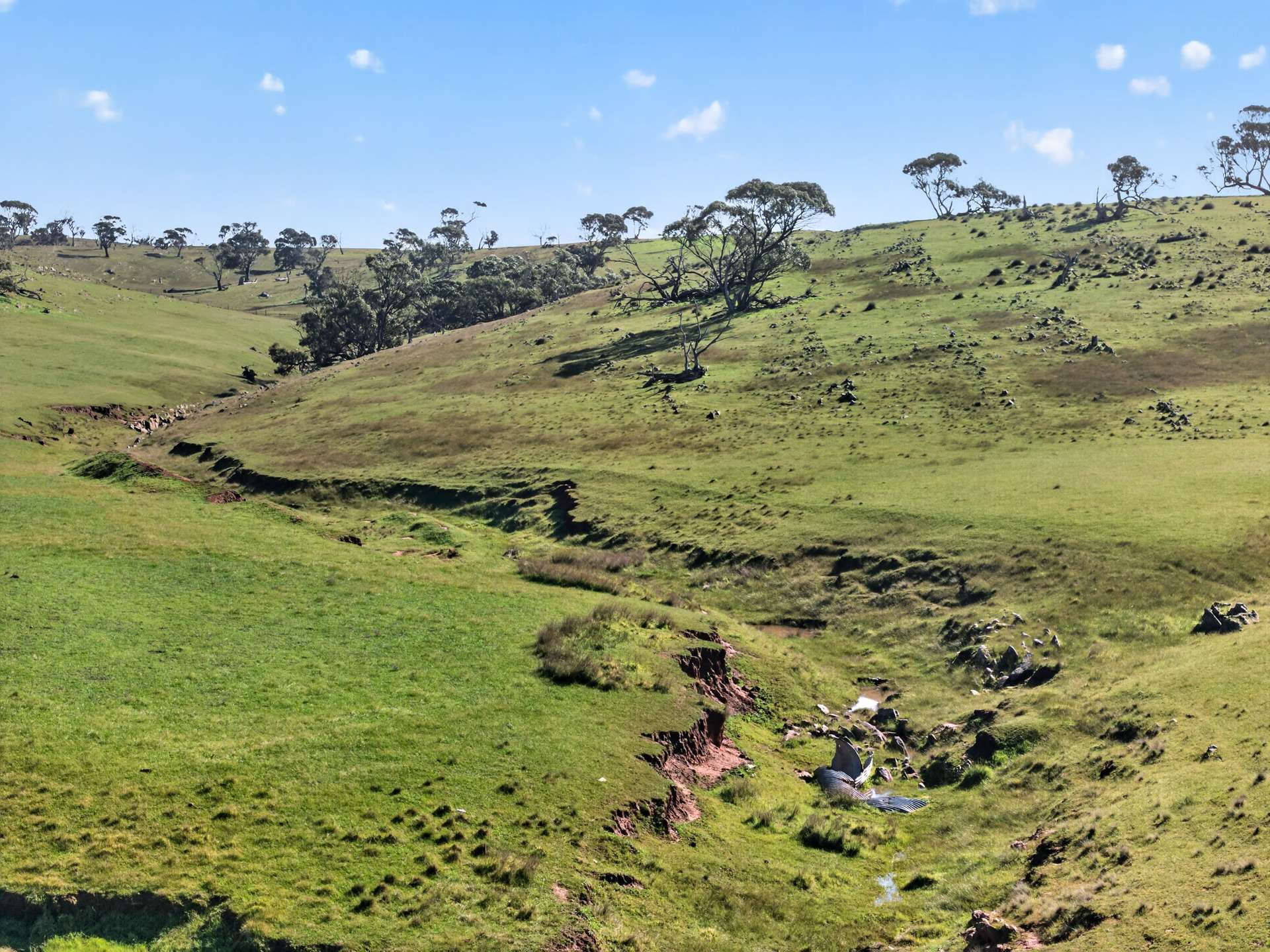 'Preamimma' Preamimma Road, Rockleigh For Sale by Farmbuy.com - image 8