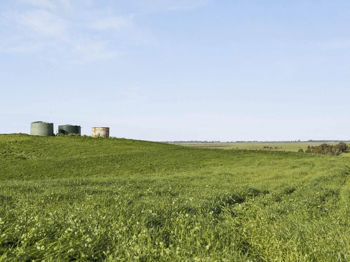 3495 Corangamite Lake Road, Cundare For Sale by Farmbuy.com - image 2
