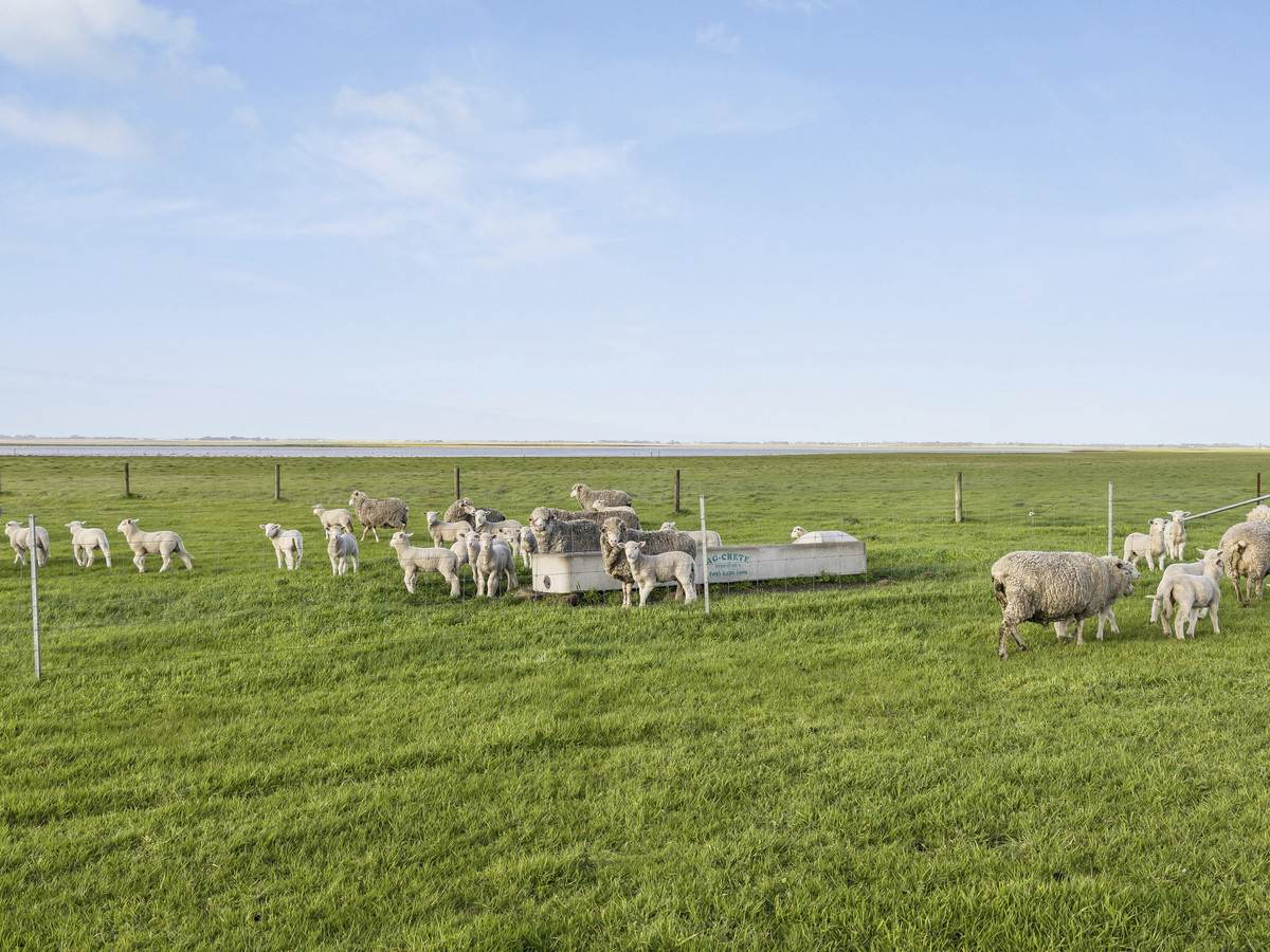 3495 Corangamite Lake Road, Cundare For Sale by Farmbuy.com - image 27