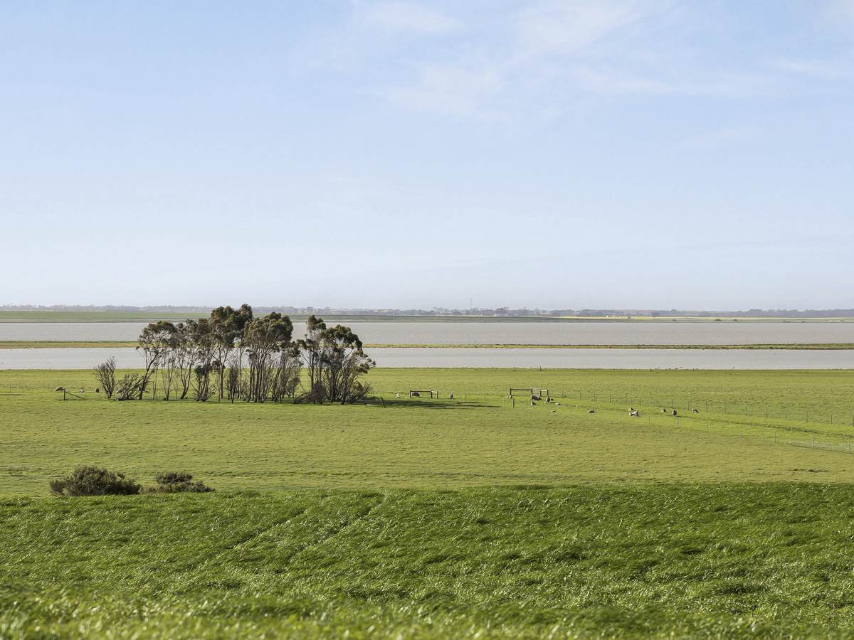 3495 Corangamite Lake Road, Cundare For Sale by Farmbuy.com - image 25
