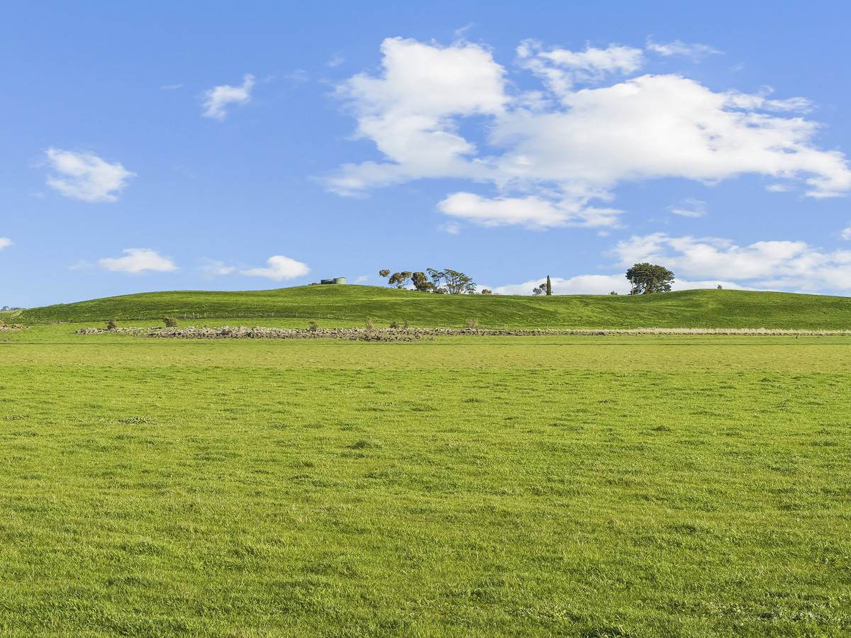 3495 Corangamite Lake Road, Cundare For Sale by Farmbuy.com - image 4