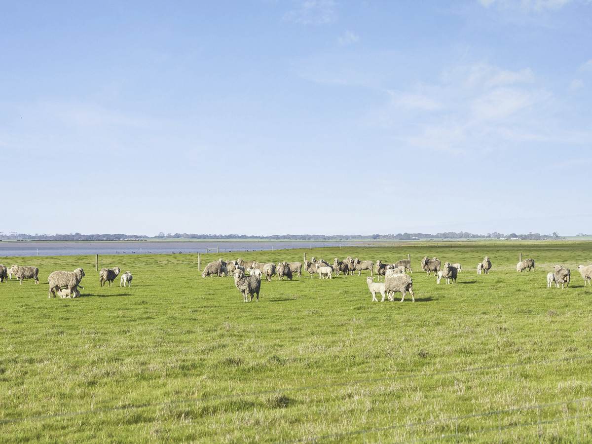 3495 Corangamite Lake Road, Cundare For Sale by Farmbuy.com - image 13