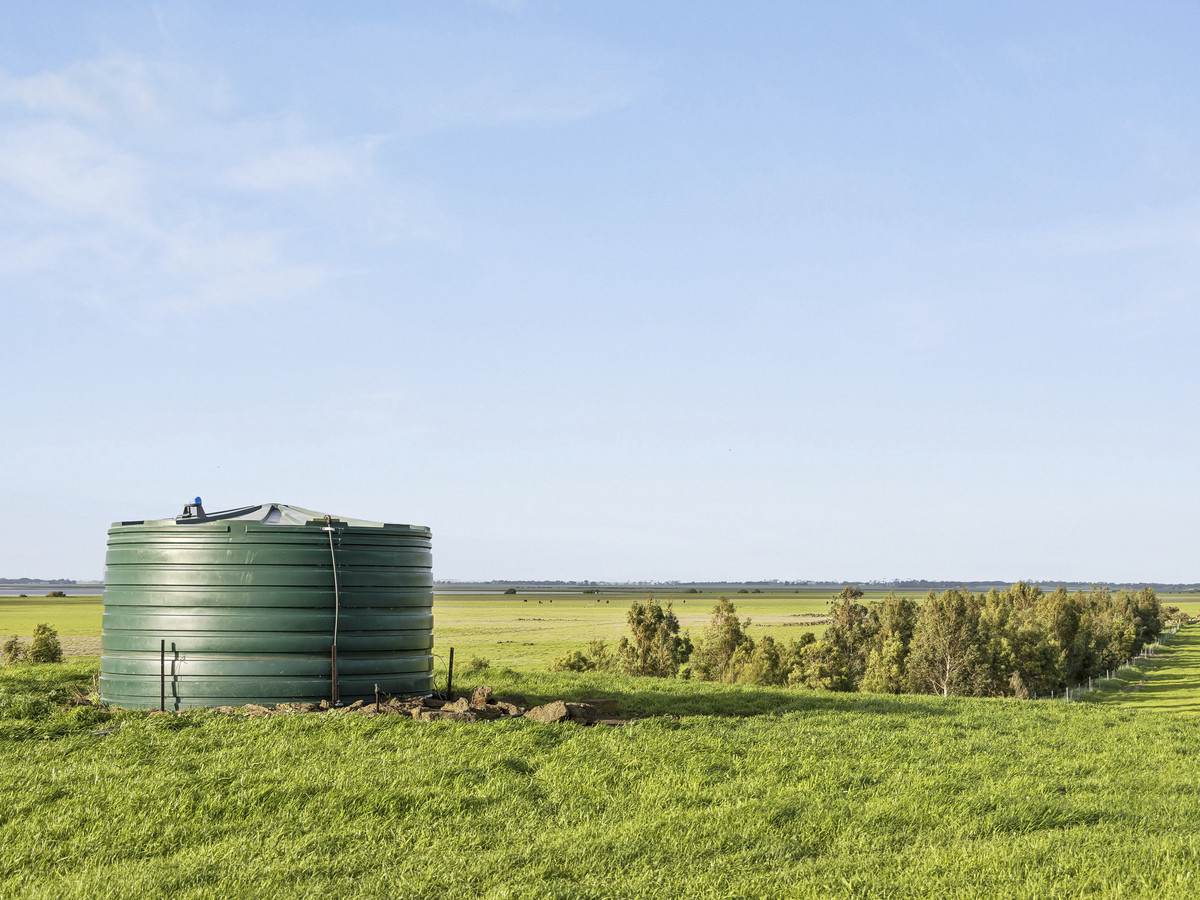 3495 Corangamite Lake Road, Cundare For Sale by Farmbuy.com - image 5