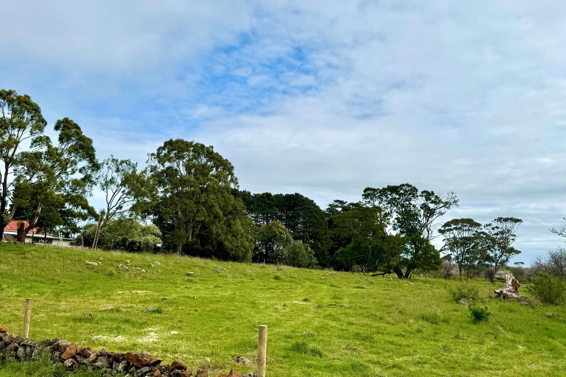 2621 Princes Highway, Pomborneit For Sale by Farmbuy.com - image 2